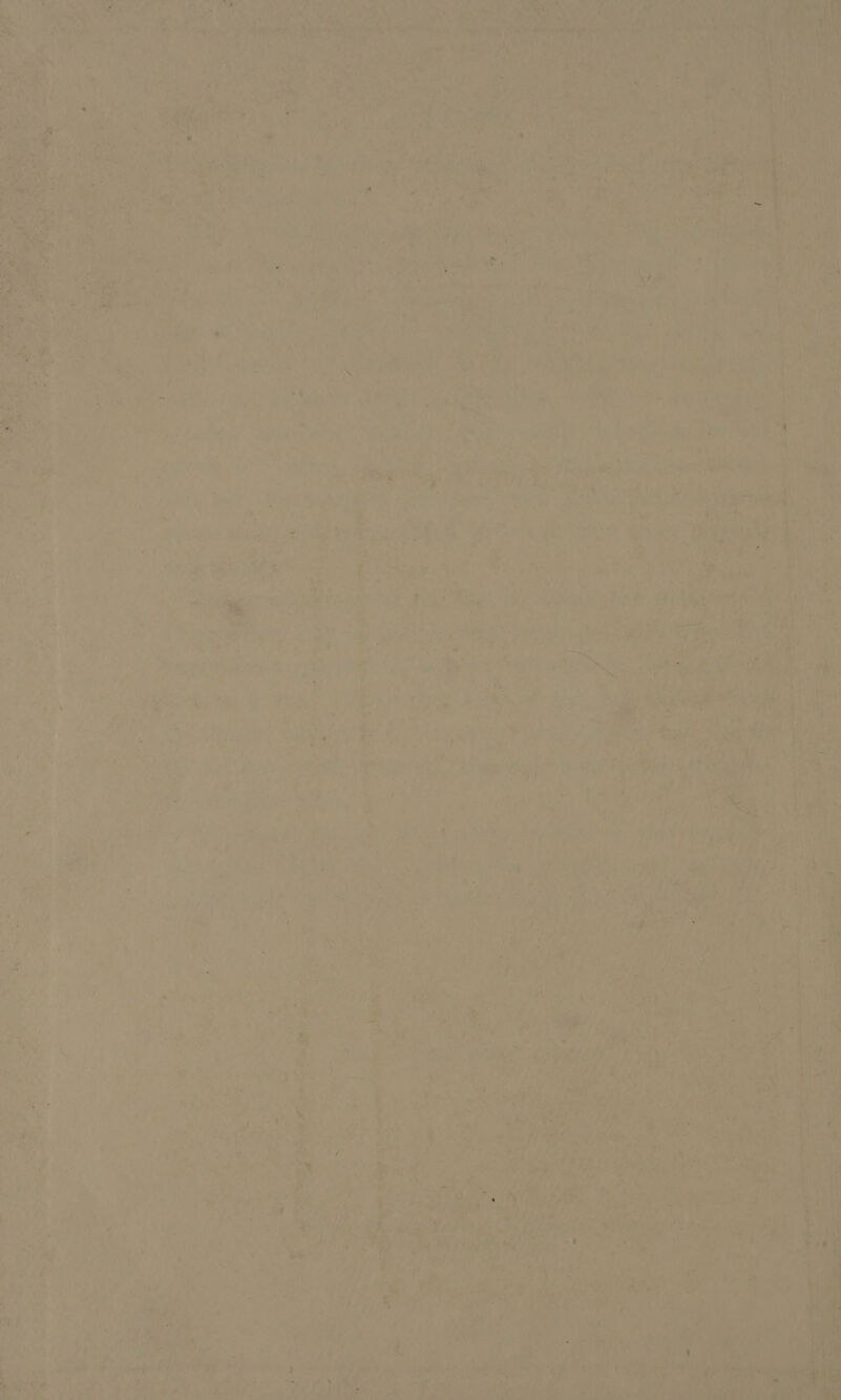 La (Lwe ya ws ey a nt , _ Pe 4 i RS is a rs Sa % 1 At bes (ao oe * af Sat’