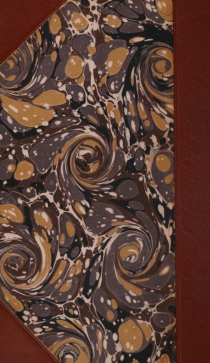 No text description is available for this image