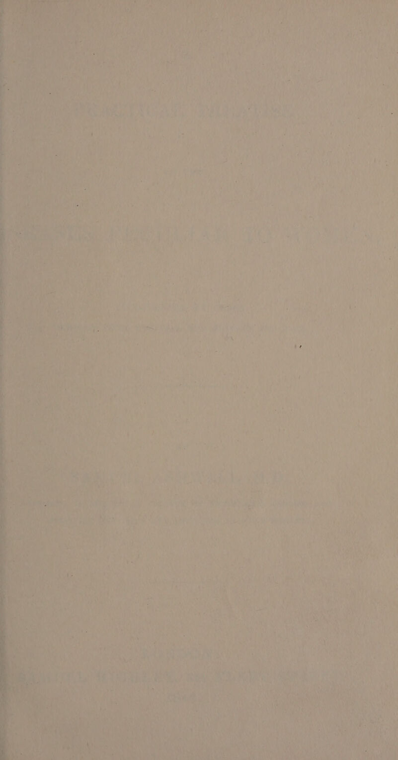 OD Ay aeAS Fae ray ra Ny P ain Ui \ 1 ' . Gia! AG bila UAL it a la ple vi } { \ ee Aa ny BO ate ‘% WAgED SA, Bare 8 ee apd ee ne en ' I A are &amp; a, i , : ase nt b ¢ t ‘ = ee rhe Rat  q i F ’ P J ' , A Aik f ee i Py f Le ~ we | t Oy hb as ty a T a Y | * Th hl ; tha . hp. ‘ ‘ ‘ ; F. bg a 4 : ¥ j i : ‘ , &amp; i i ry 7 4 % Fe ry , ed | ‘ 4 I mee bag | | | 7 A ] ae a nL ies j ga Hing ; &gt; i Le 1 v ‘i j + F ‘ F Past 4 ) : Sp : j Ys j y Wg Te LAs ou r m jak p 4 sur +e 4a) : a + 2G Tie) Fa tae Avery ges, 4 j i fe ~ G  é vay ee +h . : : ; 4 1 : - ye i 5 - 4 om 'y i“ bra ie | 4 hae Lae 7 | o Pat ed aoe “ i , : a, * : EUS erst Ms aie HA} Sete LM, mt or tt iy no * \ uae CS. cn MAS be ie ADR IRNE SSR tac SK i) ak 2 RO NR ve Na aiken Ao i, 9 OR ah A tole tee wey un 4h Ws bs poe + Se ae WECS TiS wa’ iy 7 a8 “ah 7p : % ’ AVE m5 iim Pie ie’ w wor vi a ye ake ah Pees Bid gt? bgt nee a ’ Me f Bie us eels meat ies UN ke OF acm,