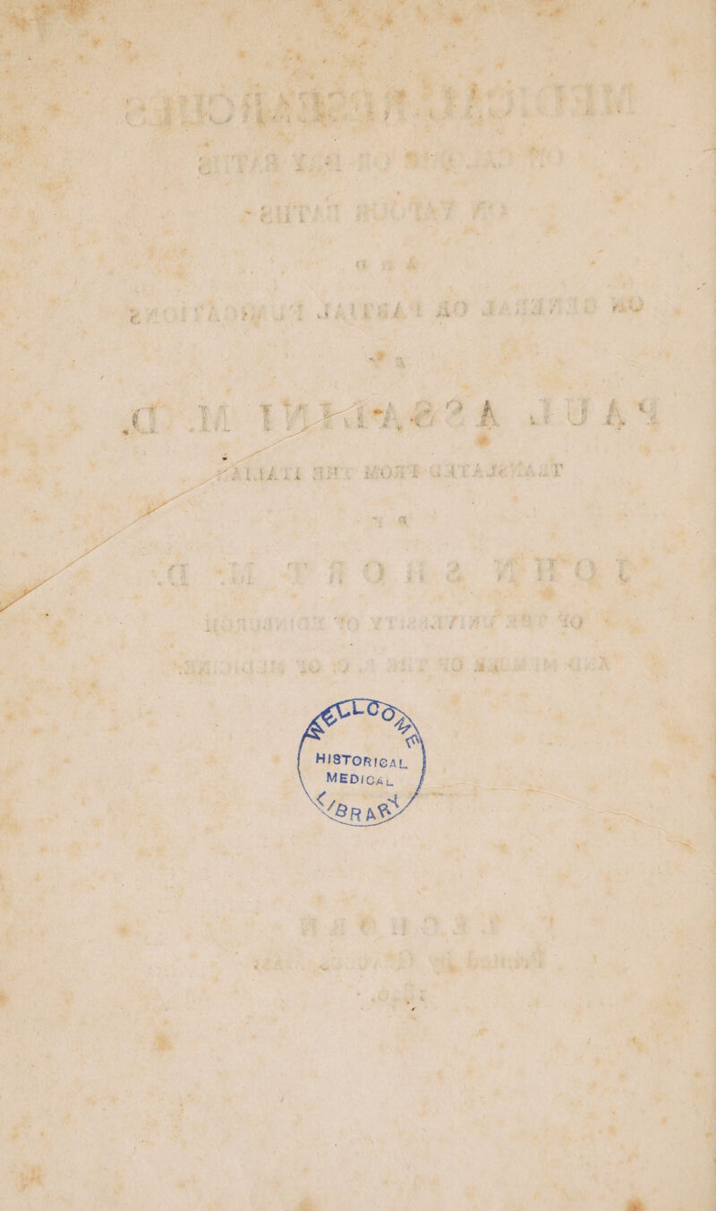 eae te: gh ae ~ ae a ao “i ft Oo. fi. 2, a | “HORE Fait My 0 ¥tT caarrin at fai aes . ; mir ida 40 a s a ane rig Magi 4 Gah” + | ee e ph