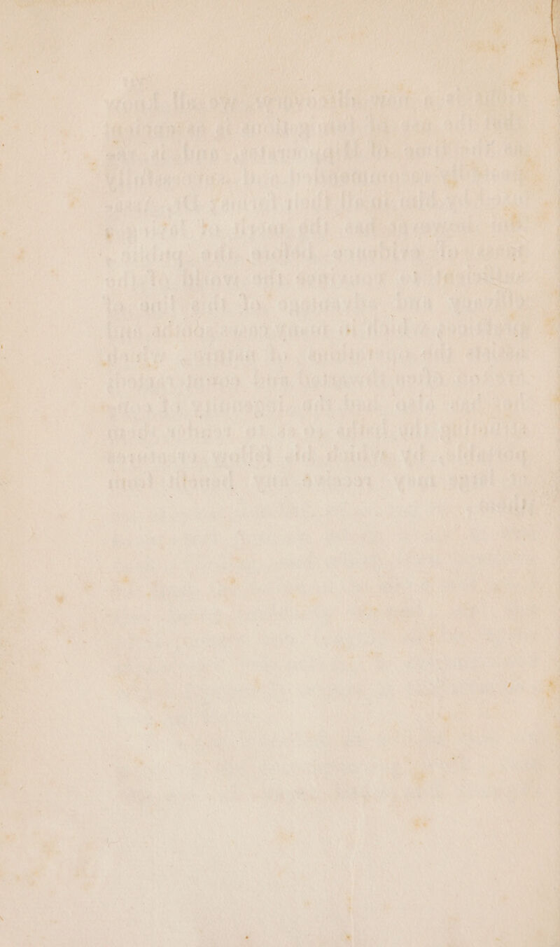 ibs! ¢ YY i eh fai “he Dy