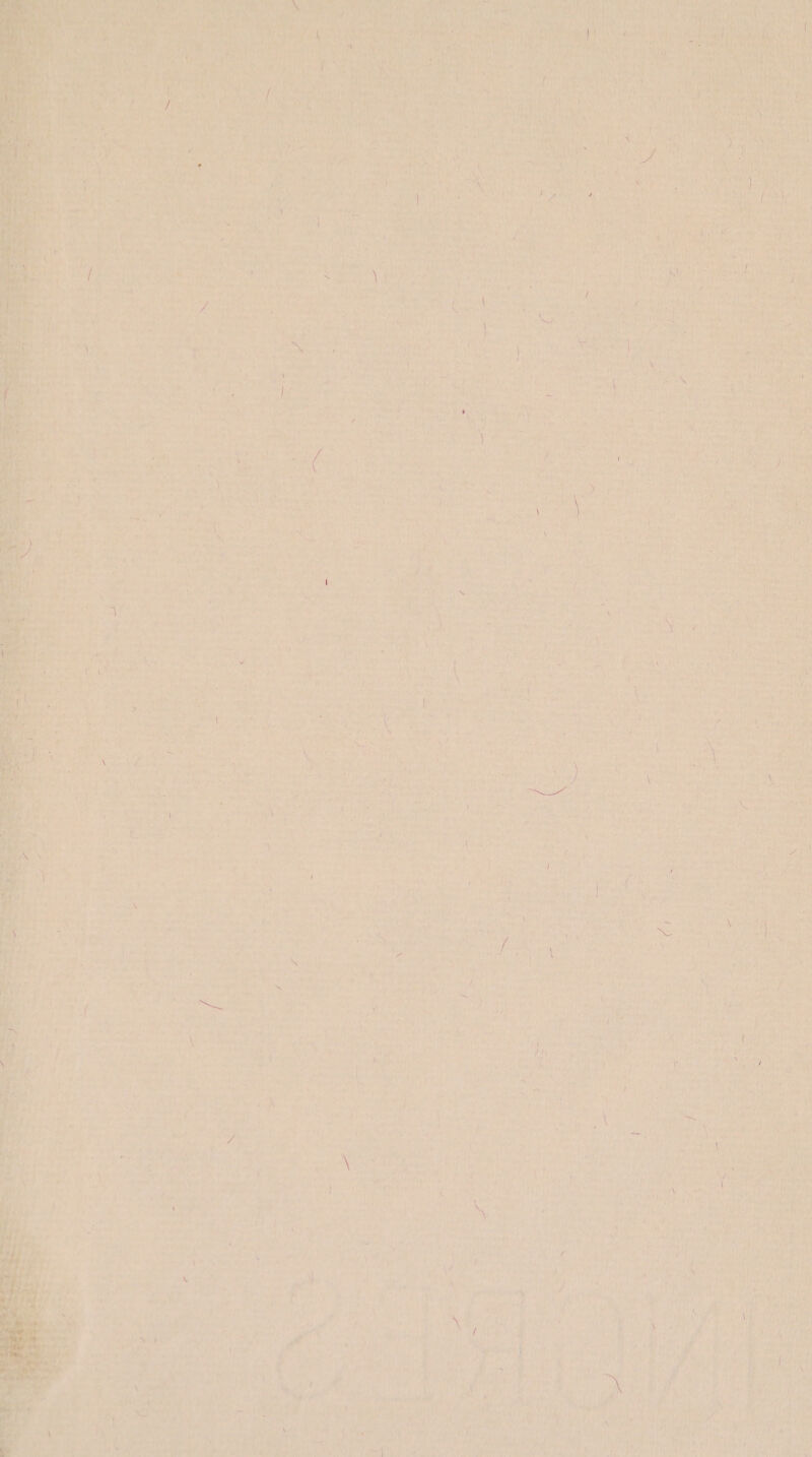 ee TS , aire a M baw) ‘ hy : \ \ : a ies at Sect ce , yeas As re if pe dP ‘\ ‘ j fom th Oa fa : ’ , , Parente Pen i cae tere of ts Hop % S44 sigs f CEs art Cs ro ee SS ae eta Sth, POR 0) ohaatt TE Ke et a 4 3 iat Pi ated i ve