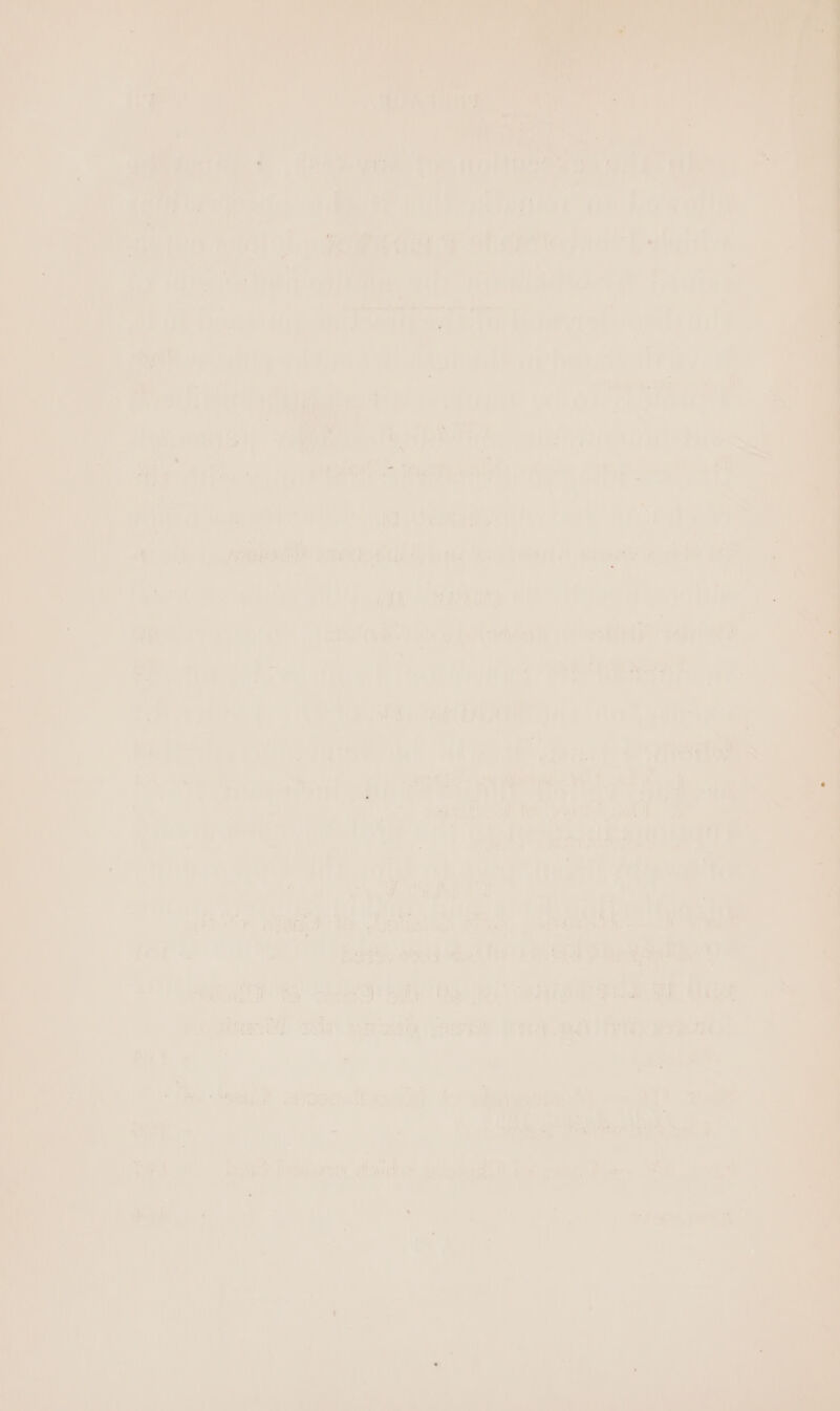 de ata 4 Ais aeowagiar ie Bote if ‘1 bie een eee fae ae at eV: Pilg Cristy) gee nr ek Ta abies bei aati mt ee RENTON: Bait ay? ad Duteapeiliy: ail brat aelsrt erent ay f Bans aaty ea oii Teak qil hee }ye sis Mabe wie mer amet tHh0N (AL 0 ee Oh acer oa f ne eh apie cy 4 ‘faye ‘ih irie Cun? am Att nee peener my ella a = a ie ) | ui ty Age Ni foray? Bie seme, a ee lt Cea ie | wale 48 pins ide he a fis ee wan saat  a ple ney i ier hs aL y “gat U wns a eed) Peed an iy my dt bf es ( Eeagtends oF ty rt vd par (ae ne sai! aft * % ; ‘ae hid en On Ee ia HT Patsy &amp;. SE ea RINNE A Ua aaa yy feaitey iti Ht F 1 taint) Stele SOU ee Pa eee an hae DLink iby Bae, BD sy fh ‘ah ye ae mh P ae ihe angi it TT, Baths pecthaat ous a Eriol Af oi Lan | sa panies sips vile ae OP , ye { vin ae id tog tye ; sy Dinh) Sa any! : sagt 3 a sak ie iy babi bhi! Lt RD. aaa Att Pee hs aya Hs, ay a air Tee Gori. Aided ia Pa as | .iuE er ee ee shel Aly i os AGS aly. ae, Uae Pe De wt aia ine aon ek 2 eS: iat peers : ae = hie tos eu sali a iad. bs ; var Nat | : ae : ; a hid ee jypog! 5S ah au a 2: A : rent 7 ‘eo ba a nenveutiln [ i oi - ge ee y ae