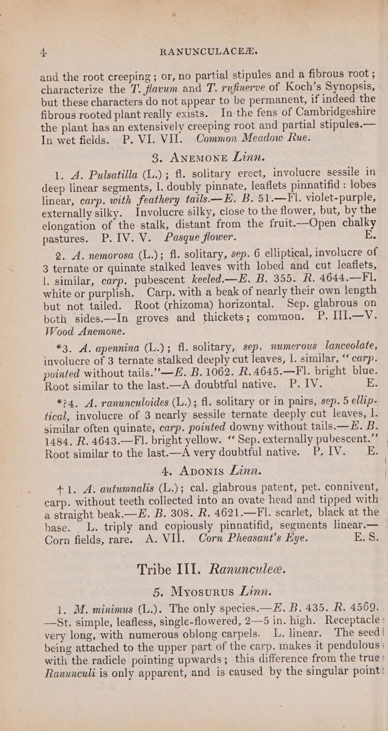 and the root creeping ; or, no partial stipules and a fibrous root ; characterize the T. flavum and T. rufinerve of Koch’s Synopsis, but these characters do not appear to be permanent, if indeed the fibrous rooted plant really exists. In the fens of Cambridgeshire the plant has an extensively creeping root and partial stipules.— In wet fields. P. VI. VII. Common Meadow Rue. 3, ANEMONE Linn. 1. A. Pulsatilla (L.); fl. solitary erect, involucre sessile in deep linear segments, |. doubly pinnate, leaflets pinnatifid : lobes linear, carp. with feathery tails—H. B. 51.—F'. violet-purple, externally silky. Involucre silky, close to the flower, but, by the elongation of the stalk, distant from the fruit—Open chalky pastures. P.IV. V. Pasque flower. E. 2. A. nemorosa (L.); fi. solitary, sep. 6 elliptical, involucre of 3 ternate or quinate stalked leaves with lobed and cut leaflets, |. similar, carp. pubescent keeled.—E. B. 355. R. 4644.—F. white or purplish. Carp. with a beak of nearly their own length but not tailed. Root (rhizoma) horizontal. Sep. glabrous on both sides.—In groves and thickets; common. P. IlI.—V. Wood Anemone. *3. A. apennina (L.); fl. solitary, sep. numerous lanceolate, involucre of 3 ternate stalked deeply cut leaves, |. similar, “ carp. pointed without tails.”—#. B. 1062. R.4645.—Fl. bright blue. Root similar to the last.—A doubtful native. P. IV. E. *&gt;4. A. ranunculoides (L.); fl. solitary or in pairs, sep. 5 ellip- tical, involucre of 3 nearly sessile ternate deeply cut leaves, 1. similar often quinate, carp. pointed downy without tails.—£. B. 1484. R. 4643.—Fl. bright yellow. ‘Sep. externally pubescent.” , Root similar to the last.—A very doubtful native. P,IV. E. 4, Aponis Linn. +1. A. autumnalis (L.); cal. glabrous patent, pet. connivent, carp. without teeth collected into an ovate head and tipped with a straight beak.—E. B. 308. R. 4621.—F'. scarlet, black at the base. LL. triply and copiously pinnatifid, segments linear.— - Corn fields, rare. A. VII. Corn Pheasant’s Eye. E.S. Tribe IIL. Ranunculee. 5. Myosurus Linn. 1, M. minimus (L.). The only species.—F. B. 435. R. 4569. —St. simple, leafless, single-flowered, 2—5 in. high. Receptacle : very long, with numerous oblong carpels. L. linear. The seed | being attached to the upper part of the carp. makes it pendulous : with the radicle pointing upwards; this difference from the true! Ranunculi is only apparent, and is caused by the singular point!