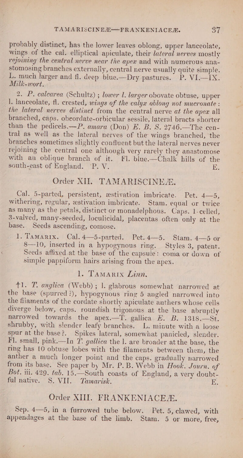 TAMARISCINEH—FRANKENIACER. Sf probably distinct, has the lower leaves oblong, upper lanceolate, wings of the cal. elliptical apiculate, their lateral nerves mostly rejoining the central nerve near the apex and with numerous ana- stomosing branches externally, central nerve usually quite simple. L. much larger and fl. deep blue.—Dry pastures. P. VI.—IX. Milk-wort. 2. P. calearea (Schultz) ; lower 1. larger obovate obtuse, upper 1. lanceolate, fl. crested, wings of the calyx ablong not mucronate : the lateral nerves distinct from the central nerve at the apex all branched, caps. obeordate-orbicular sessile, lateral bracts shorter than the pedicels.—P. amara (Don) E. B. 8. 2746.—The cen- tral as well as the lateral nerves of the wings branched, the branches sometimes slightly confluent but the lateral nerves never rejoining the central one although very rarely they anastomose vith an oblique branch of it. fl. blue.—Chalk hills of the south-east of England. P. V. i Order XII. TAMARISCINEZE. Cal. 5-parted, persistent, sstivation imbricate. Pet. 4—5, withering, regular, «stivation imbricate. Stam. equal or twice as many as the petals, distinct or monadelphous. Caps. 1-celled, 3-valved, many-seeded, loculicidal, placentas often only at the base.. Seeds ascending, comuse. 1. Tamarix. Cal. 4—5-parted. Pet.4—5. Stam. 4—5 or 8—10, inserted in a hypogynous ring. Styles 3, patent. Seeds affixed at the base of the capsule: coma or down of simple pappiform hairs arising from the apex. l. Tamarix Linn. $1. T. anglica (Webb) ; |. glabrous somewhat narrowed at the base (spurred :), hypogynous ring 5 angled narrowed into the filaments of the cordate shortly apiculate anthers whose cells diverge below, caps. roundish trigonous at the base abruptly narrowed towards the apex.—T’. gallica H. B. 1318.—St. shrubby, with slender leafy branches. L. minute with a loose spur at the base?. Spikes lateral, somewhat panicled, slender. Fl. small, pink.—In T. gallica the |. are broader at the base, the ring has {0 obtuse lobes with the filaments between them, the anther a much longer point and the caps. gradually narrowed from its base. See paper by Mr. P.B. Webb in Hook. Journ. of Bot. ii. 429. tab. 15.—South coasts of England, a very doubt- ful native. S. VII. Tamarisk. EK. Order XHI. FRANKENIACEA. Sep. 4—5, in a furrowed tube below. Pet. 5, clawed, with