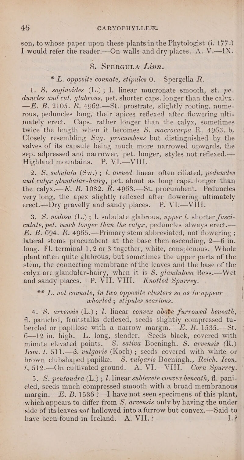 ‘son, to whose paper upon these plants in the Phytologist (i. 177.) I would refer the reader.—On walls and dry places. A. V.—IX. 8. SPERGULA Linn. * L. opposite connate, stipules 0. Spergella-R. 1. S. saginoides (L.); 1. linear mucronate smooth, st. pe- duncles and cal. glabrous, pet. shorter caps. longer than the calyx. —E. B. 2105. R. 4962.—St.. prostrate, slightly rooting, nume- rous, peduncles long, their apices reflexed after flowering ulti- mately erect. Caps. rather longer than the calyx, sometimes twice the length when it becomes S. macrocarpa R. 4963. b. Closely resembling Sag. procumbens but distinguished by the valves of its capsule being much more narrowed upwards, the sep. adpressed and narrower, pet. longer, styles not reflexed.— Highland mountains. P. VI.—VIII. 2. S. subulata (Sw.); 1. awned linear often ciliated, peduncles and calyx glandular-hairy, pet. about as long caps. longer than the calyx.—E. B. 1082. R. 4963.—St. procumbent. Peduncles very long, the apex slightly reflexed after flowering ultimately erect.—Dry gravelly and sandy places. P. VI.—VIII. 3. S. nodosa (L.) ; 1. subulate glabrous, upper 1. shorter fasct- culate, pet. much longer than the calyx, peduncles always erect.— Hh. B. 694. R. 4965.—Primary stem abbreviated, not flowering ; lateral stems procumbent at the base then ascending, 2—6 in. long. Fl. terminal 1, 2 or 3 together, white, conspicuous. Whole plant often quite glabrous, but sometimes the upper parts of the stem, the connecting membrane ofthe leaves and the base of the calyx are glandular-hairy, when it is S. glandulosa Bess.—Wet and sandy places. P. VII. VIII. Knotted Spurrey. ** L. not connate, in two opposite clusters so as to:appear whorled ; stipules scarious. 4. S. arvensis (L.); J. linear convex abote furrowed beneath, fl. panicled, fruitstalks deflexed, seeds slightiy compressed tu- bercled or papillose with a narrow margin.—JH. B. 1535.—St. 6—12 in. high. L. long, slender. -Seeds black, covered with minute elevated points. S. sativa Boeningh. S. arvensis (R.) Icon. t. 511.—6. vulgaris (Koch) ; seeds covered with white or brown clubshaped papilla. S. vulgaris Boeningh., Reich. Icon. t. 512.—On cultivated ground. A. VI.—VIII. Corn Spurrey. 5. S. pentandra (L.) ; l. linear subterete convex beneath, fl. pani- cled, seeds much compressed smooth with a broad membranous margin.—H. B. 1536 ?—I have not seen specimens of this plant, which appears to differ from S. arvensis only by having the under — side of its leaves not hollowed into a furrow but convex.—Said to have been found in Ireland. &lt;A. VII.? Lif