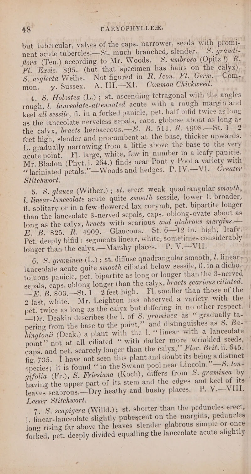 but tubercular, valves of the caps. narrower, seeds with promi- nent acute tubercles:—St. much branched, slender. S. grandi- flora (Ten.) according to Mr. Woods. 8S. umbrosa (Opitz!) RB. Fi. Exsic. 895. (but that specimen has hairs on the calyx). S. neglecta Weihe. Not figured in R. /con. Fl. Germ.—Com-, mon. y. Sussex. A. II].—XI. Common Chickweed. — 4. S. Holostea (L.); st. ascending tetragonal with the angles rough, l. lanceolate-atienuated acute with a rough margin and keel all sessile, fl. in a forked panicle, pet. half bifid twice as long as the lanceolate nerveless sepals, caps. globose about as long as the calyx, bracts herbaceous. —E. B. 511. R. 4908.—St. 1—2 feet high, slender and procumbent at the base, thicker upwards. L. gradually narrowing from a little above the base to the very acute point. FI. large, white, few in number in a leafy panicle. Mr. Bladon (Phyt.i. 264.) finds near Pont y Pool a variety with “Jaciniated petals.”—Woods and hedges. P.IV.—VI. Greater Stitchwort. 5. S. glauca (Wither.) ; st. erect weak quadrangular smooth, 1. linear-lanceolate acute quite smooth sessile, lower |. broader, fl. solitary or in a few-flowered lax corymb, pet. bipartite longer than the lanceolate 3-nerved sepals, caps. oblong-ovate about as long as the calyx, bracts with scarious and glabrous margins.— E. B. 325. R. 4909.—Glaucous. St. 6—12 in. high, leafy. Pet. deeply bifid: segments linear, white, sometimes considerably longer than the calyx.—Marshy places. | P. V.—VII. 6. S. graminea (L.) ; st. diffuse quadrangular smooth, J. linear, lanceolate acute quite smooth ciliated below sessile, fi. in a dicho- - tomous panicle, pet. bipartite as long or longer than the 3-nerved sepals, caps. oblong longer than the calyx, bracts scarious ciliated. __ EE: B. 803.—St. 1—2 feet high. Fl. smaller than those of the 2 last, white. Mr. Leighton has observed a variety with the pet. twice as long as the calyx but differing in no other respect. “_Dr. Deakin describes the l. of S. graminea as “ gradually ta- pering from the base to the point,’ and distinguishes as S. Ba- bingtonti (Deak.) a plant with the l. “linear with a lanceolate point” not at all ciliated “ with darker more wrinkled seeds, - caps. and pet. scarcely longer than the calyx,”’ Flvr. Brit. ii. 645. fig.735. I have not seen this plant and doubt its being a distinct species; it is found “in the Swann pool near Lincoln.””—S. lon- gifolia (Fr.), S. Friesiana (Koch), differs from S. graminea by having the upper part of its stem and the edges and keel of its” leaves scabrous.—Dry heathy and bushy places. P, V.—VIII. Lesser Stitchwort. 7. S. scapigera (Willd.); st. shorter than the peduncles erect, 1. linear-lanceolate slightly pubescent on the margins, peduncles long rising far above the leaves slender glabrous simple or once forked, pet. deeply divided equalling the lanceolate acute slightly