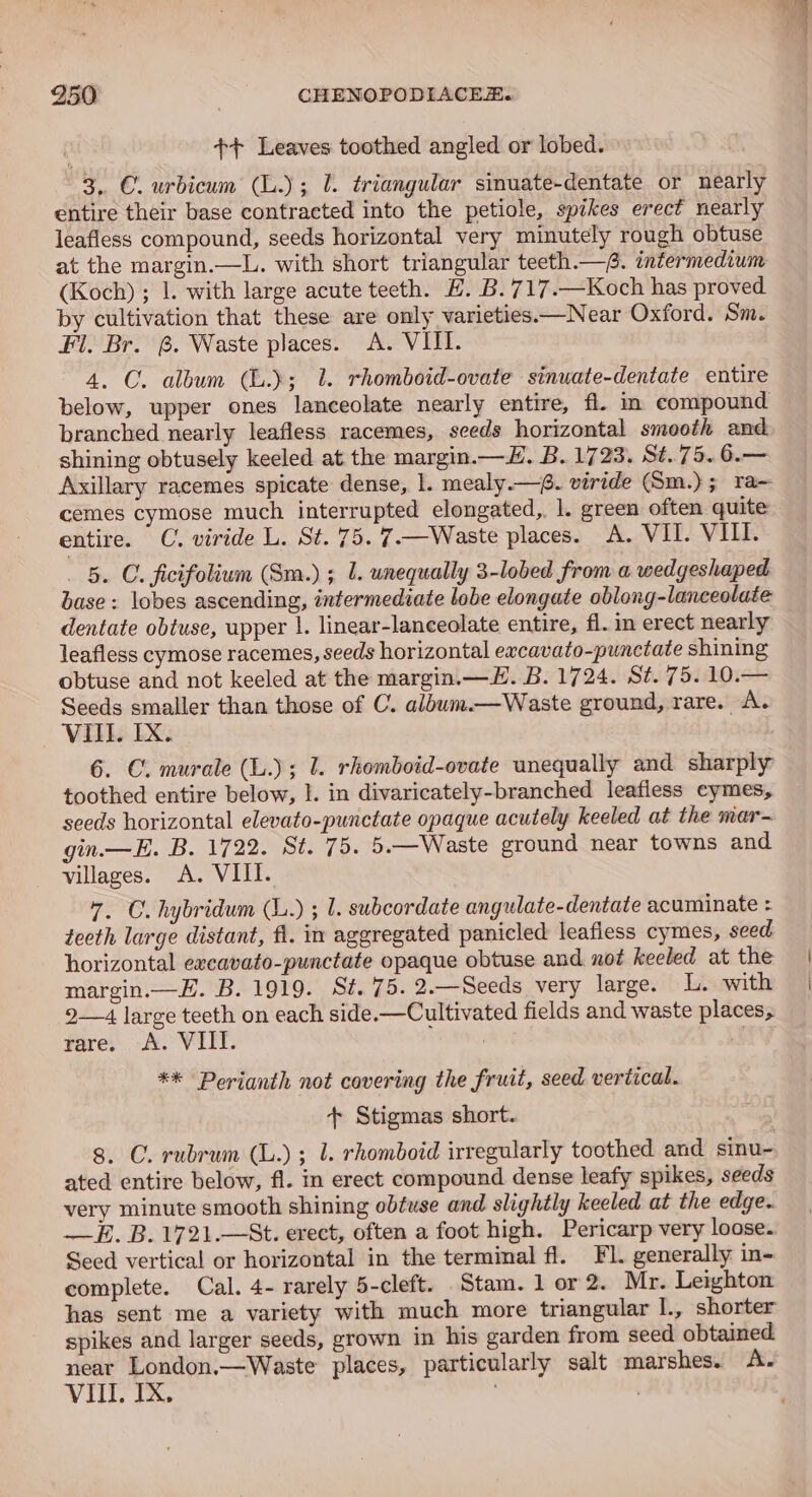 ++ Leaves toothed angled or lobed. 3. C. urbicum (L.); 1. triangular sinuate-dentate or nearly entire their base contracted into the petiole, spikes erect nearly leafless compound, seeds horizontal very minutely rough obtuse at the margin.—L. with short triangular teeth.—f. intermedium (Koch) ; 1. with large acute teeth. EH. B.717 .—Koch has proved by cultivation that these are only varieties—Near Oxford. Sm. Fl. Br. @. Waste places. &lt;A. VIII. 4. C. album (.); 1. rhomboid-ovate sinwate-dentate entire below, upper ones lanceolate nearly entire, fl. in compound branched nearly leafless racemes, seeds horizontal smooth and shining obtusely keeled at the margin.—Z. B. 1723. St..75. 6.— Axillary racemes spicate dense, 1. mealy.—@. viride (Sm.) 3 ra= cemes cymose much interrupted elongated,, 1. green often quite entire. C. viride L. St. 75. 7.—Waste places. A. VII. VIII. _ 5. C. ficifolium (Sm.) ; lL. unequally 3-lobed from a wedgeshaped base: lobes ascending, intermediate lobe elongate oblong-lanceolate dentate obtuse, upper |. linear-lanceolate entire, fl. in erect nearly leafless cymose racemes, seeds horizontal eacavato-punctate shining obtuse and not keeled at the margin.—LH. B. 1724. St. 75. 10.— Seeds smaller than those of C. album.—Waste ground, rare. A. VII. IX. 6. C. murale (L.); 1. rkomboid-ovate unequally and sharply toothed entire below, |. in divaricately-branched leafless eymes, seeds horizontal elevato-punctate opaque acutely keeled at the mar- gin.—E. B. 1722. St. 75. 5.—Waste ground near towns and villages. &lt;A. VIII. 7. C. hybridum (L.) ; 1. subcordate angulate-dentate acuminate : tecth large distant, fi. in aggregated panicled leafiess cymes, seed horizontal ewcavato-punctate opaque obtuse and not keeled at the margin.—E. B. 1919. St. 75. 2.—Seeds very large. L. with 9—4 large teeth on each side.—Cultivated fields and waste places, rare, A. VIL. a ** Perianth not covering the fruit, seed vertical. + Stigmas short. 8. C. rubrum (L.) ; l. rhomboid irregularly toothed and sinu- ated entire below, fl. in erect compound dense leafy spikes, seeds very minute smooth shining obtuse and slightly keeled at the edge. —E. B.1721.—St. erect, often a foot high. Pericarp very loose. Seed vertical or horizontal in the terminal fl. Fl. generally in- complete. Cal. 4- rarely 5-cleft. .Stam. 1 or 2. Mr. Leighton has sent me a variety with much more triangular I., shorter spikes and larger seeds, grown in his garden from seed obtained near London.—Waste places, particularly salt marshes. A. VIII. TX. . .