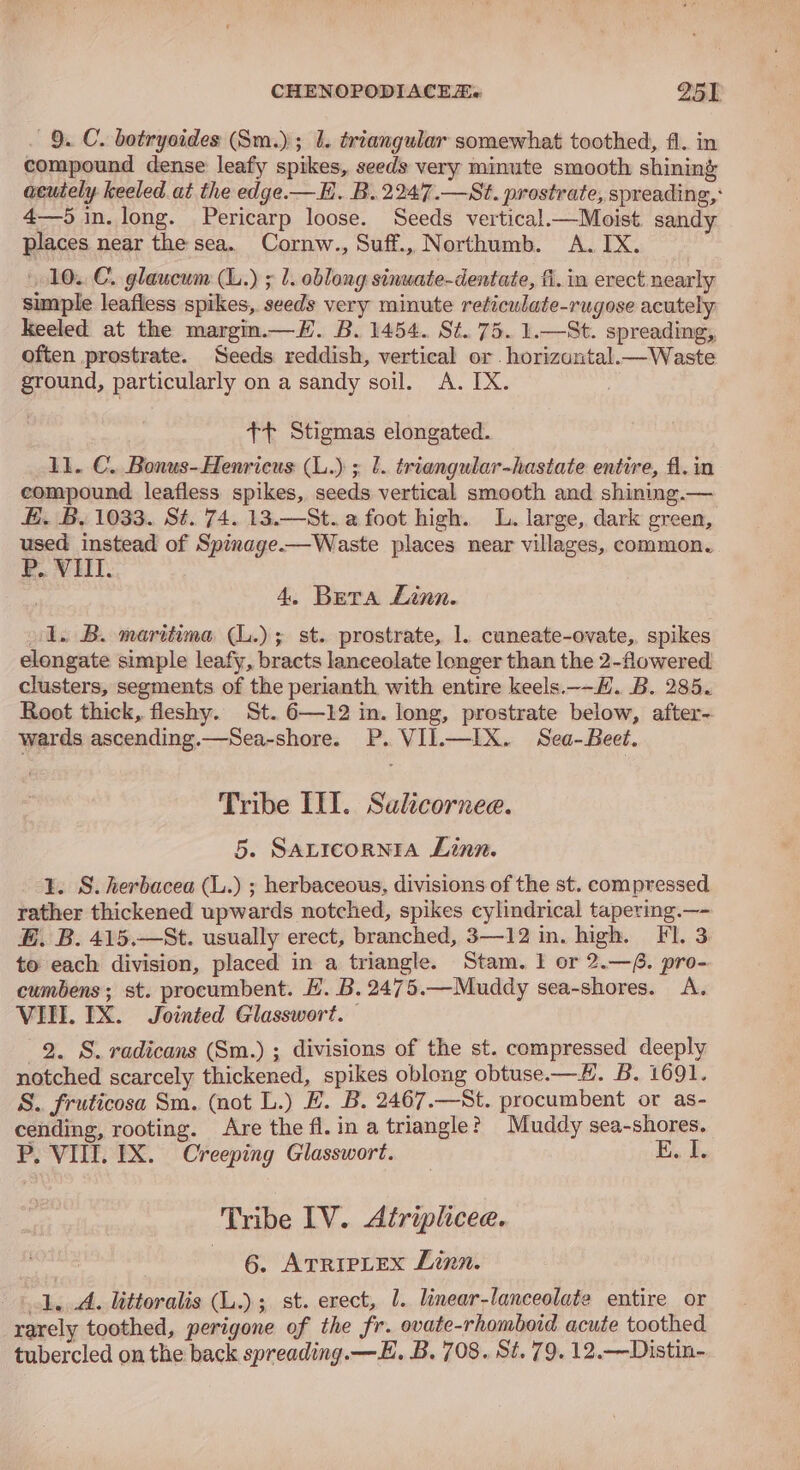 9. C. botrysides (Sm.); 1. triangular somewhat toothed, f1. in compound dense leafy spikes, seeds very minute smooth shining acutely keeled at the edge.— HE. B.2247.—St. prostrate, spreading, 4—5 in. long. Pericarp loose. Seeds vertical.—Moist. sandy places near the sea. Cornw., Suff., Northumb. A. IX. 10..C. glawewm (L.) ; 1. oblong sinwate-dentate, fi. in erect nearly simple leafless spikes, seeds very minute reticulate-rugose acutely keeled at the margin.—H. B. 1454. St. 75. 1.—St. spreading, often prostrate. Seeds reddish, vertical or . horizontal.—Waste ground, particularly on a sandy soil. A. IX. . +t Stigmas elongated. 11. C. Bonus-Henricus (L.) ; l. triangular-hastate entire, fl. in compound. leafless spikes, seeds vertical smooth and shining.— £. B, 1033. St. 74. 13.—St. a foot high. L. large, dark green, used instead of Spinage——Waste places near villages, common. P.. VII. 4, Bera Linn. 1. B. maritima (L.); st. prostrate, 1. cuneate-ovate, spikes elongate simple leafy, bracts lanceolate longer than the 2-flowered clusters, segments of the perianth with entire keels.--H. B. 285. Root thick, fleshy. St. 6—12 in. long, prostrate below, after- wards ascending.—Sea-shore. P. VII.—IX. Sea-Beet. Tribe III. Sulcornee. 5. SALICORNIA Linn. 1. S. herbacea (L.) ; herbaceous, divisions of the st. compressed rather thickened upwards notched, spikes cylindrical tapering.—- E. B. 415.—St. usually erect, branched, 3—12 in. high. Fl. 3 to each division, placed in a triangle. Stam. 1 or 2.—6. pro- cumbens; st. procumbent. H. B.2475.—Muddy sea-shores. A. VIIL. IX. Jointed Glasswort. 2. S. radicans (Sm.) ; divisions of the st. compressed deeply notched scarcely thickened, spikes oblong obtuse.—#. B. 1691. S. fruticosa Sm. (not L.) EH. B. 2467.—St. procumbent or as- cending, rooting. Are the fl. in a triangle? Muddy sea-shores. P. VIII. IX. Creeping Glasswort. Tribe IV. Atriplicee. 6. Arriptex Linn. 1. A. littoralis (L..); st. erect, 1. linear-lanceolate entire or rarely toothed, perigone of the fr. ovate-rhomboid acute toothed tubercled on the back spreading.—L. B. 708. St. 79. 12.—Distin-