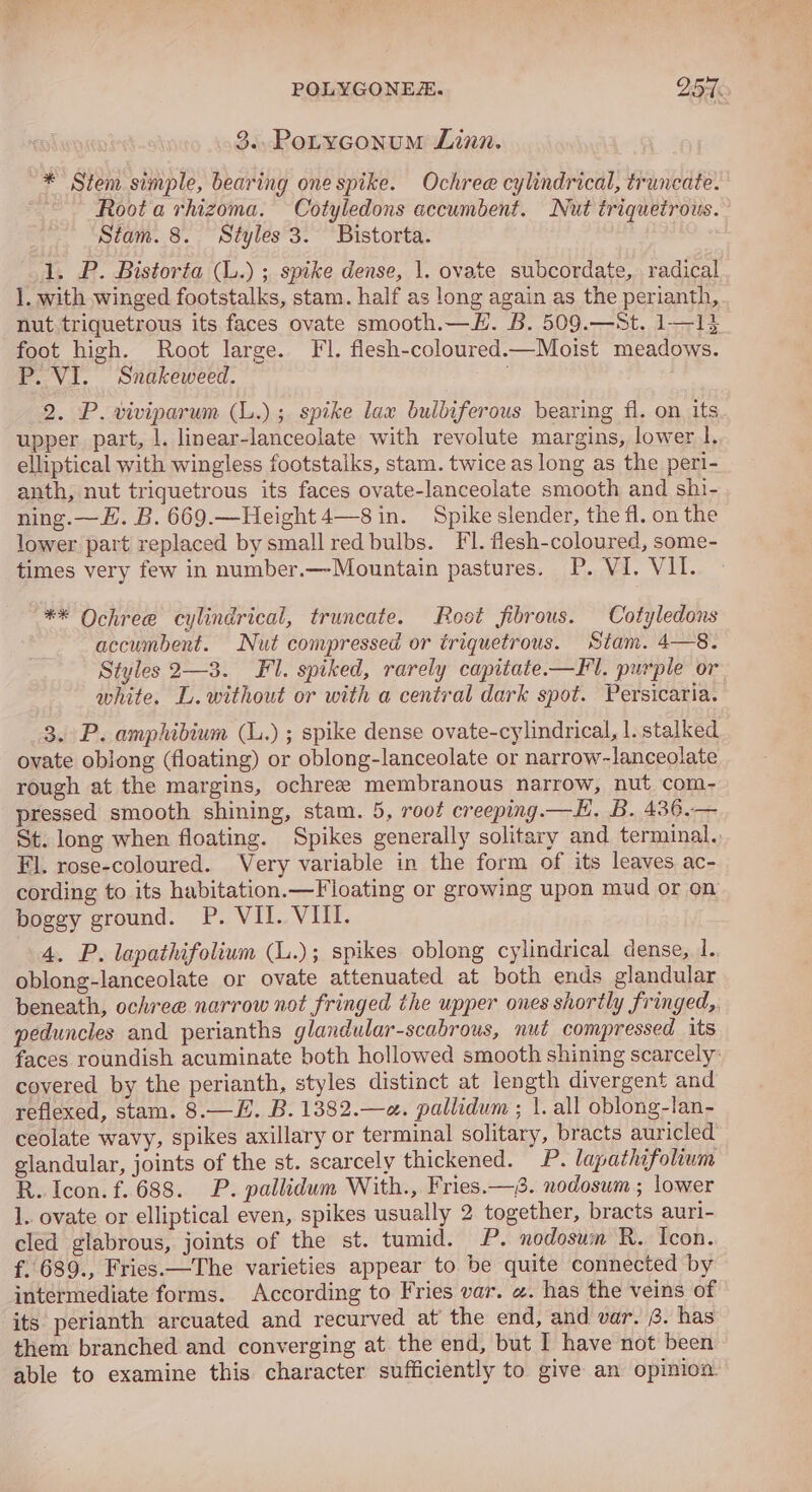POLYGONEE. DoT 3..Potyconum Linn. * Stem simple, bearing one spike. Ochree cylindrical, truncate. Root a rhizoma. Cotyledons accumbent. Nut triquetrous. Stam. 8. Styles 3. Bistorta. 1. P. Bistorta (L.) ; spike dense, 1. ovate subcordate,. radical ]. with winged footstalks, stam. half as long again as the perianth, nut triquetrous its faces ovate smooth.—EH. B. 509.—St. 1—1}4 foot high. Root large. Fl. flesh-coloured.—Moist meadows. P. VI. Snakeweed. 2. P. viviparum (L.); spike lax bulbiferous bearing fl. on its upper part, |. linear-lanceolate with revolute margins, lower l. elliptical with wingless footstaiks, stam. twice as long as the peri- anth, nut triquetrous its faces ovate-lanceolate smooth and shi- ning.—E. B. 669.—Height4—8 in. Spike slender, the fl. on the lower part replaced by small red bulbs. FI. flesh-coloured, some- times very few in number.—-Mountain pastures. P. VI, VII. ** Ochree cylindrical, truncate. Root fibrous. Cotyledons accumbent. Nut compressed or triquetrous. Stam. 4—8. Styles 2—3. Fl. spiked, rarely capitate.—Fl. purple or white. L. without or with a central dark spot. Persicaria. 3. P. amphibium (L.) ; spike dense ovate-cylindrical, 1. stalked ovate oblong (floating) or oblong-lanceolate or narrow-lanceolate rough at the margins, ochree membranous narrow, nut com- pressed smooth shining, stam. 5, root creeping.— LH. B. 436.— St. long when floating. Spikes generally solitary and terminal. Fl. rose-coloured. Very variable in the form of its leaves ac- cording to its habitation.—Floating or growing upon mud or on boggy ground. P. VII. VIII. 4. P. lapathifolium (L.); spikes oblong cylindrical dense, 1. oblong-lanceolate or ovate attenuated at both ends glandular beneath, ochree narrow not fringed the upper ones shortly fringed, peduncles and perianths glandular-scabrous, nut compressed its faces roundish acuminate both hollowed smooth shining scarcely: covered by the perianth, styles distinct at length divergent and reflexed, stam. 8.—H. B.1382.—«. pallidum ; 1. all oblong-lan- ceolate wavy, spikes axillary or terminal solitary, bracts auricled glandular, joints of the st. scarcely thickened. P. lapathifolium R. Icon. f. 688. P. pallidum With., Fries.—8. nodosum ; lower 1. ovate or elliptical even, spikes usually 2 together, bracts auri- cled glabrous, joints of the st. tumid. P. nodosum R. Icon. f. 689., Fries.—The varieties appear to be quite connected by intermediate forms. According to Fries var. «. has the veins of its perianth arcuated and recurved at’ the end, and var. @. has them branched and converging at the end, but I have not been able to examine this character sufficiently to give an opinion.