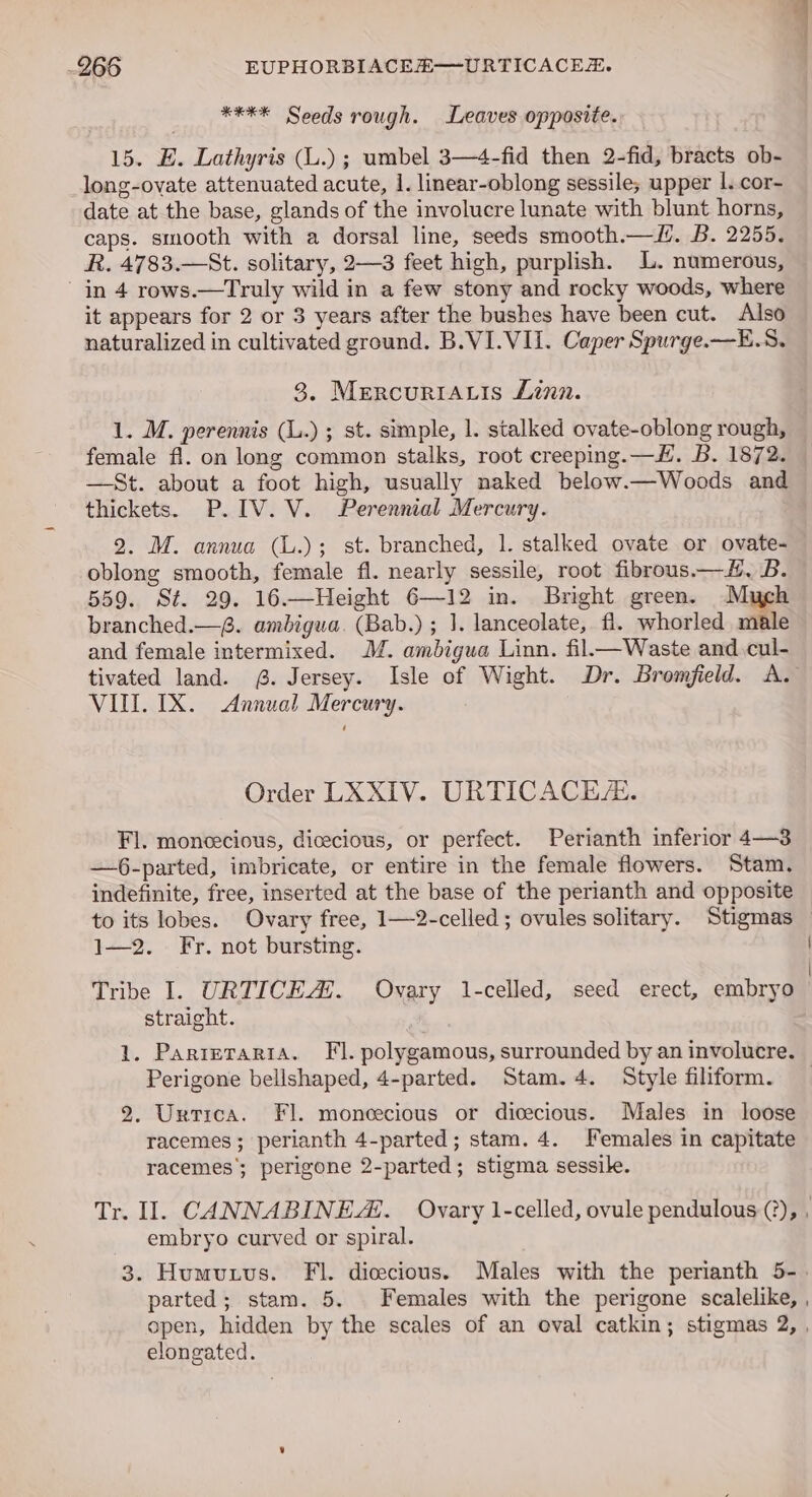**** Seeds rough. Leaves opposite. 15. EH. Lathyris (L.) ; umbel 3—4-fid then 2-fid, bracts ob- long-ovate attenuated acute, 1. linear-oblong sessile; upper |..cor- date at the base, glands of the involucre lunate with blunt horns, caps. smooth with a dorsal line, seeds smooth.—l. B. 2255. R. 4783.—St. solitary, 2—3 feet high, purplish. L. numerous, in 4 rows.—Truly wild in a few stony and rocky woods, where it appears for 2 or 3 years after the bushes have been cut. Also naturalized in cultivated ground. B.VI.VII. Caper Spurge.—E.S. 8, MercuriaALis Linn. 1. M. perennis (L.) ; st. simple, 1. stalked ovate-oblong rough, female fl. on long common stalks, root creeping.—H. B. 1872. —St. about a foot high, usually naked below.—Woods and thickets. P.IV.V. Perennial Mercury. 2. M. annua (L.); st. branched, 1. stalked ovate or ovate- oblong smooth, female fl. nearly sessile, root fibrous.—. B. 559. St. 29. 16.—Height 6—12 in. Bright green. Mych branched.—6. ambigua. (Bab.) ; 1. lanceolate, fi. whorled male and female intermixed. JM. ambigua Linn. fil.—Waste and.cul- tivated land. 6. Jersey. Isle of Wight. Dr. Bromfield. A. VIII. TX. Annual Mercury. Order LXXIV. URTICACE/. Fl. moneecious, dicecious, or perfect. Perianth inferior 4—3 —6-parted, imbricate, or entire in the female flowers. Stam. indefinite, free, inserted at the base of the perianth and opposite to its lobes. Ovary free, 1—2-celled; ovules solitary. Stigmas 1—2. Fr. not bursting. Tribe I. URTICEAi. Ovary 1-celled, seed erect, embryo straight. 1. Parteraria. Fi. polygamous, surrounded by an involucre. Perigone bellshaped, 4-parted. Stam. 4. Style filiform. — 2. Untica. Fl. moneecious or dicecious. Males in loose racemes; perianth 4-parted; stam. 4. Females in capitate racemes’; perigone 2-parted; stigma sessile. Tr. II. CANNABINE. Ovary 1-celled, ovule pendulous (?), . embryo curved or spiral. 3. Humunus. FI. dicecious. Males with the perianth 5-. parted; stam. 5. Females with the perigone scalelike, , open, hidden by the scales of an oval catkin; stigmas 2, , elongated.