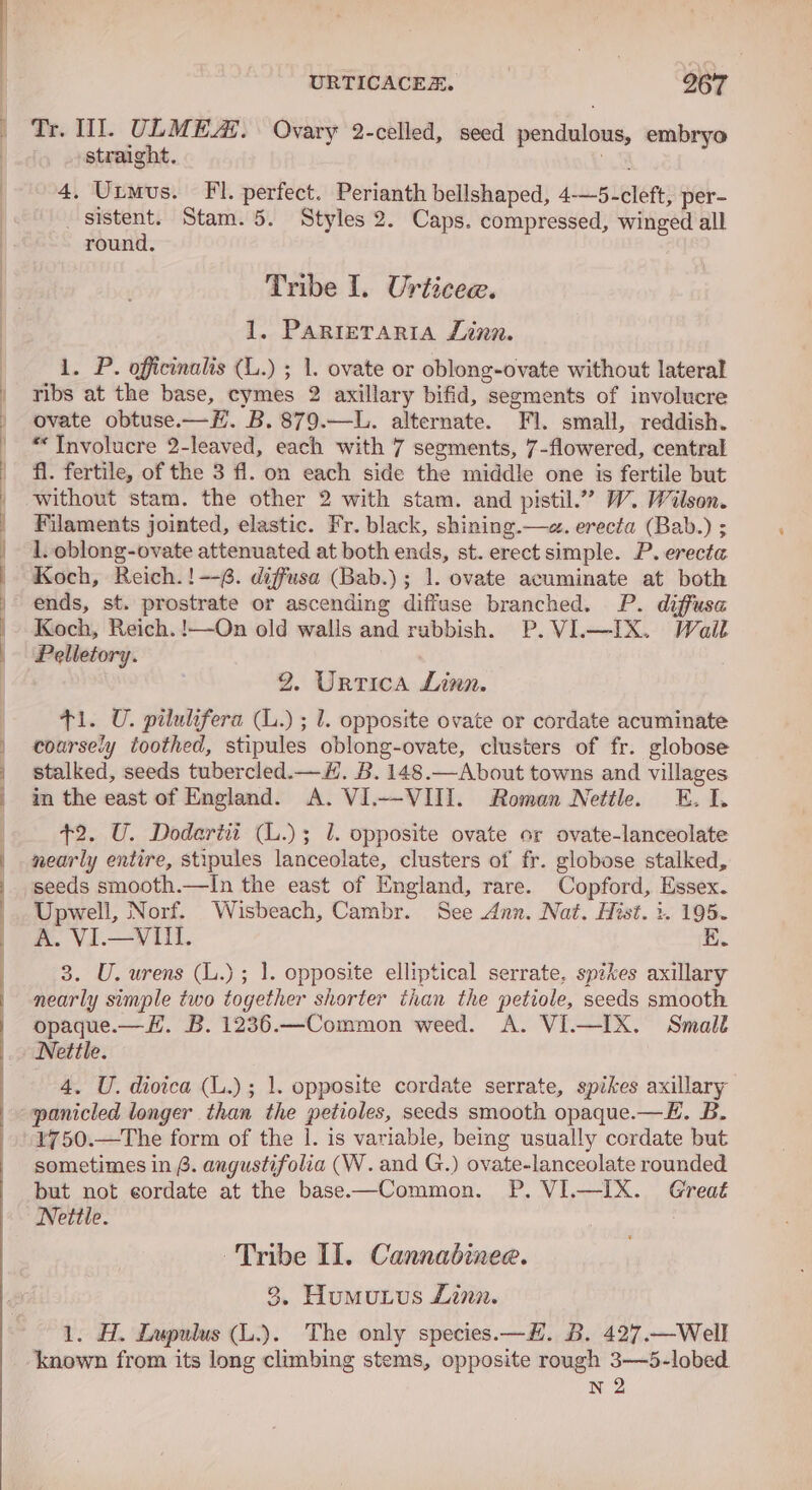 i Tr. I. ULMEA’. Ovary 2-celled, seed pendulous, embryo straight. 4. Utmus. Fl. perfect. Perianth bellshaped, 4—5-cleft, per- sistent. Stam. 5. Styles 2. Caps. compressed, winged all round. Tribe I. Urticee. 1. PARIETARIA Linn. 1. P. officinalis (L.) ; 1. ovate or oblong-ovate without lateral ribs at the base, cymes 2 axillary bifid, segments of involucre ovate obtuse.—H#. B.879.—L. alternate. Fl. small, reddish. *Tnvolucre 2-leaved, each with 7 seements, 7-flowered, central fl. fertile, of the 3 fl. on each side the middle one is fertile but without stam. the other 2 with stam. and pistil.” W. Wilson. Filaments jointed, elastic. Fr. black, shining.—e. erecta (Bab.) ; 1. oblong-ovate attenuated at both ends, st. erect simple. P. erecta Koch, Reich.!--6. diffusa (Bab.); 1. ovate acuminate at both ends, st. prostrate or ascending diffuse branched. P. diffusa Koch, Reich. !—On old walls and rubbish. P.VL—IX. Wail Pelletory. 2. Urrica Linn. ti. U. pilulifera (L.) ; l. opposite ovate or cordate acuminate coarsely toothed, stipules oblong-ovate, clusters of fr. globose stalked, seeds tubercled.— #. B. 148.—About towns and villages in the east of England. A. VI.—VIII. Roman Nettle. E. I. +2. U. Dodarii (L.); 1. opposite ovate or ovate-lanceolate nearly entire, stipules lanceolate, clusters of fr. globose stalked, seeds smooth.—In the east of England, rare. Copford, Essex. Upwell, Norf. Wisbeach, Cambr. See Ann. Nat. Hist. i. 195. A. VI.— VIL. EK. 3. U. urens (L.); 1. opposite elliptical serrate, spikes axillary nearly simple two together shorter than the petiole, seeds smooth opaque.—H. B. 1236.—Common weed. A. VI.—IX. Small Nettle. 4. U. dioica (L.); 1. opposite cordate serrate, spikes axillary panicled longer than the petioles, seeds smooth opaque.—E. B. ¥750.—The form of the |. is variable, being usually cordate but sometimes in 6. angustifolia (W. and G.) ovate-lanceolate rounded but not cordate at the base—Common. P. VI.—IX. Great Nettle. Tribe II. Cannabinee. 3, Humutus Linn. 1. H. Lupulus (L.). The only species.—#. B. 427.—Well known from its long climbing stems, opposite rough 3—5-lobed. N 2