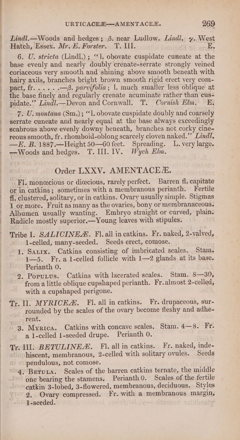 Lindl.—Woods and hedges’; . near Ludlow. Lindi. y., West 6. U. stricta (Lindl.) ; ‘“‘1. obovate cuspidate cuneate at the base evenly and nearly doubly crenate-serrate strongly veined coriaceous very smooth and shining above smooth beneath with hairy axils, branches bright brown smooth rigid erect very com- BBE E oi bine ve —. parvifolia; 1. much smaller less oblique at the base finely and regularly crenate acuminate rather than cus- pidate.’’ Lindl.—Devon and Cornwall. T. Cornish Elm. E, wag U. montana (Sm.) ; “1. obovate cuspidate doubly and coarsely serrate cuneate and nearly equal at the base always exceedingly scabrous above evenly downy beneath, branches nct corky cine- reous smooth, fr. rhomboid-oblong scarcely cloven naked.”’ Lindl, —E. B. 1887.—Height 50—60 feet. Spreading. LL. very large. —Woods and hedges. T. II]. 1V. Wych Elm. Order LXXV. AMENTACE/. Fl. moneecious or dicecious, rarely perfect. Barren fl. capitate or in catkins; sometimes with a membranous perianth. Fertile fl. clustered, solitary, or in catkins. Ovary usually simple. Stigmas 1 or more. Fruit as many as the ovaries, bony or membranaceous. Albumen usually wanting. Embryo straight or curved, plain. Radicle mostly superior.—Young leaves with stipules. Tribe Il. SALICINE:. Fl. all incatkins. Fr. naked, 2-valved, 1-celled, many-seeded. Seeds erect, comose. 1. Sautx. Catkins consisting of imbricated scales. Stam. 1—5. Fr.al-celled follicle with 1—2 glands at its base. Perianth 0. 9. Popuzus. Catkins with lacerated scales. Stam. 8—30, from a little oblique cupshaped perianth. Fr.almost 2-celled, with a cupshaped perigone. Tr. Il. MYRICEA. FI. all in catkins. Fr. drupaceous, sur- rounded by the scales of the ovary become fleshy and adhe- rent. - 3. Myrica. Catkins with concave scales. Stam. 4—8. Fr. a l-celled 1-seeded drupe. Perianth 0. Tr Ill. BETULINEA. FI. allin catkins. Fr. naked, inde- hiscent, membranous, 2-celled with solitary ovules. Seeds pendulous, not comose. 4° Brtuxa. Scales of the barren catkins ternate, the middle one bearing the stamens. Perianth0. Scales of the fertile catkin 3-lobed, 3-flowered, membranous, deciduous. Styles 2. Ovary compressed. Fr. with a membranous margin, j-seeded. |