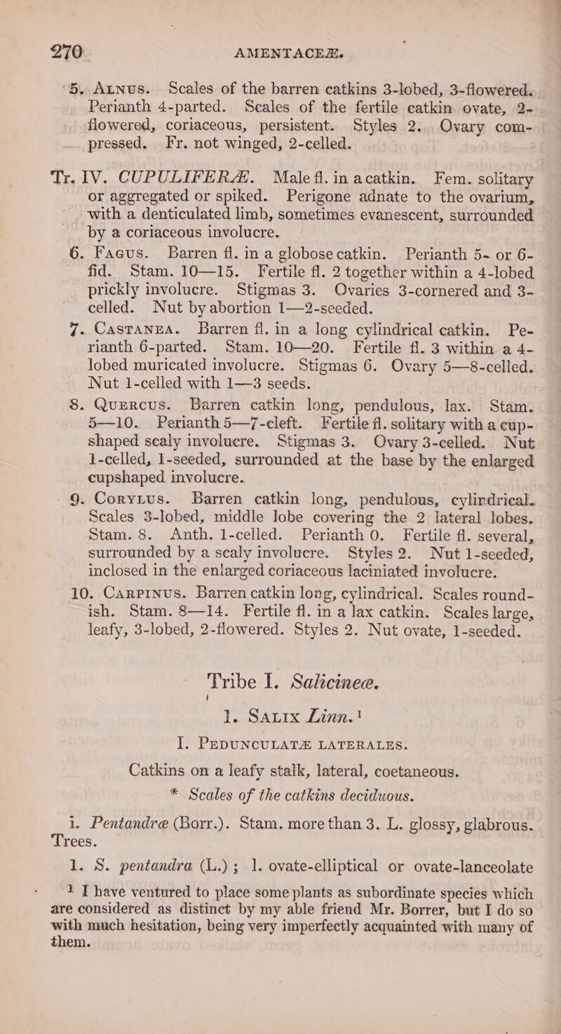 5. Atnus. Scales of the barren catkins 3-lobed, 3-flowered. Perianth 4-parted. Scales of the fertile catkin ovate, 2- flowered, coriaceous, persistent. Styles 2... Ovary com- pressed, Fr. not winged, 2-celled. Tr. IV. CUPULIFERA,. Malefl.inacatkin. Fem. solitary or aggregated or spiked. Perigone adnate to the ovarium, with a denticulated limb, sometimes evanescent, surrounded by a coriaceous involucre. 6. Faaus. Barren fl. in a globosecatkin. Perianth 5-~ or 6- fid. Stam. 10—15. Fertile fl. 2 together within a 4-lobed prickly involucre. Stigmas 3. Ovaries 3-cornered and 3- celled. Nut by abortion 1—2-seeded. 7. Castanea. Barren fl. in a long cylindrical catkin. Pe- rianth 6-parted. Stam. 10—20. Fertile fl. 3 within a 4- lobed muricated involucre. Stigmas 6. Ovary 5—8-celled. Nut 1-celled with 1—3 seeds. 8. Quercus. Barren catkin long, pendulous, lax. Stam. 5—10. Perianth5—7-cleft. Fertile fl. solitary with a cup- shaped scaly involucre. Stigmas 3. Ovary 3-celled. Nut 1-celled, 1-seeded, surrounded at the base by the enlarged cupshaped involucre. 9. Coryius. Barren catkin long, pendulous, cylindrical. Scales 3-lobed, middle lobe covering the 2 lateral lobes. Stam. 8. &lt;Anth. 1-celled. Perianth 0. Fertile fl. several, surrounded by a scaly involucre. Styles2. Nut 1-seeded, inclosed in the enlarged coriaceous laciniated involucre. 10. Carpinus. Barren catkin long, cylindrical. Scales round- ish. Stam. 8—I4. Fertile fl. in a lax catkin. Scales large, leafy, 3-lobed, 2-flowered. Styles 2. Nut ovate, 1-seeded. Tribe 1. Sakcinee. 1. Satix Linn. ! I. PEDUNCULATZ LATERALES. Catkins on a leafy stalk, lateral, coetaneous. * Scales of the catkins deciduous. 1. Pentandre (Borr.). Stam. more than 3. L. glossy, glabrous. Trees. 1. S. pentandra (L.); 1. ovate-elliptical or ovate-lanceolate 1 T have ventured to place some plants as subordinate species which are considered as distinet by my able friend Mr. Borrer, but I do so with much hesitation, being very imperfectly acquainted with many of them.