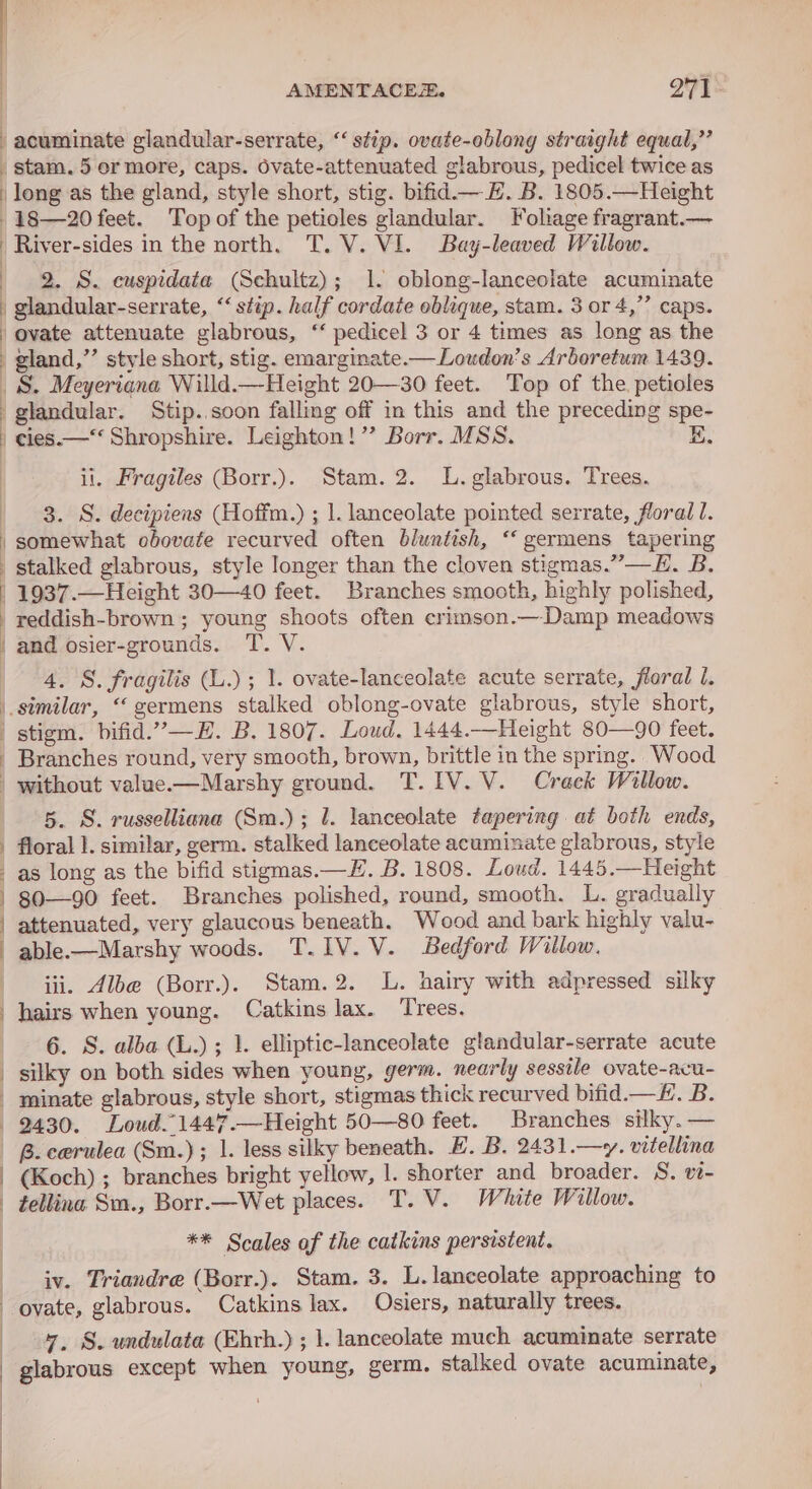 | AMENTACEZ. 271° acuminate glandular-serrate, “‘ stip. ovate-eblony straight equal,” stam. 5 er more, caps. ovate-attenuated glabrous, pedicel twice as long as the gland, style short, stig. bifid.— H. B. 1805.—Height -18—20 feet. Topof the petioles glandular. Fohage fragrant.— - River-sides in the north. T.V. VI. Bay-leaved Willow. 2. S. euspidata (Schultz); 1. oblong-lanceotate acuminate _ glandular-serrate, “‘ stip. half cordate oblique, stam. 3 or 4,” caps. ovate attenuate glabrous, ‘ pedicel 3 or 4 times as long as the - gland,”’ style short, stig. emarginate.—Louden’s Arboretum 1439. S. Meyeriana Willd.—Height 20—30 feet. Top of the. petioles -glandular. Stip..soon falling off in this and the preceding spe- - cles—‘“ Shropshire. Leighton!” Borr. MSS. K. : il. Fragiles (Borr.). Stam. 2. LL. glabrous. Trees. 8. S. decipiens (Hoffm.) ; 1. lanceolate pointed serrate, floral 1. | somewhat obovate recurved often bluntish, “ germens tapering stalked glabrous, style longer than the cloven stigmas.” —E. B. | 1937.—Height 30—40 feet. Branches smooth, highly polished, | reddish-brown; young shoots often crimson.—Damp meadows and osier-grounds. T. V. 4. S. fragilis (L.) ; 1. ovate-lanceolate acute serrate, floral 1. |. similar, “germens stalked oblong-ovate glabrous, style short, | stigm. bifid.”—H. B. 1807. Loud, 1444.-Height 80—90 feet. - Branches round, very smooth, brown, brittle in the spring.. Wood | without valae.—Marshy ground. T.IV.V. Crack Willow. 5. S. russelliana (Sm.); l. lanceolate tapering at both ends, . floral 1. similar, germ. stalked lanceolate acuminate glabrous, style as long as the bifid stigmas.—Z. B. 1808. Loud. 1445.—Height / g0—90 feet. Branches polished, round, smooth. L. gradually | attenuated, very glaucous beneath. Wood and bark highly valu- able.—Marshy woods. T.1V.V. Bedford Willow. iii. Albe (Borr.). Stam.2. L. hairy with adpressed silky hairs when young. Catkins lax. Trees. 6. S. alba (L.) ; 1. elliptic-lanceolate glandular-serrate acute _ silky on both sides when young, germ. nearly sessile ovate-acu- - minate glabrous, style short, stigmas thick recurved bifid.— EH. B. 2430. Loud.”-1447.—Height 50—80 feet. Branches silky. — | B. cerulea (Sm.); 1. less silky beneath. H. B. 2431.—y. vitellina | (Koch) ; branches bright yellow, 1. shorter and broader. S. v?- telling Sm., Borr.—Wet places. T.V. White Willow. ** Scales of the catkins persistent. iv. Triandre (Borr.). Stam. 3. L. lanceolate approaching to ovate, glabrous. Catkins lax. Osiers, naturally trees. 4, §. undulata (Ehrh.) ; 1. lanceolate much acuminate serrate | glabrous except when young, germ. stalked ovate acuminate,