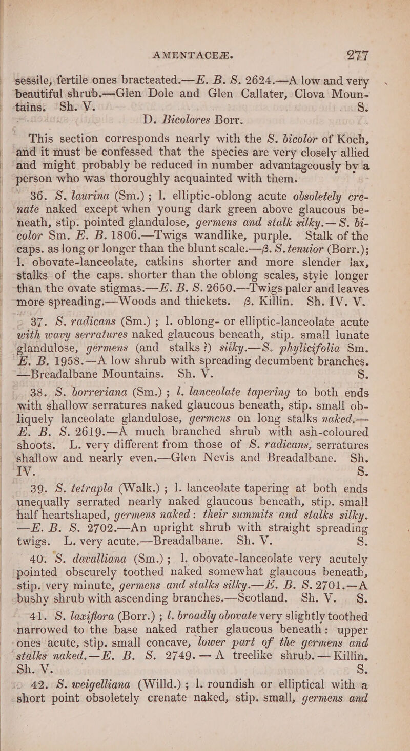 sessile, fertile ones bracteated.— H. B. S. 2624.—A low and very beautiful shrub.——-Glen Dole and Glen oe Clova Moun- ‘tains. Sh. V. 8S. D. Bicalores Bor. This section corresponds nearly with the S. dicolor of Koch, and it must be confessed that the species are very closely allied and might probably be reduced in number advantageously bv a person who was thoroughly acquainted with them. 36. S. lawrina (Sm.) ; |. elliptic-oblong acute obdsoletely cre- nate naked except when young dark green above glaucous be- neath, stip. pointed glandulose, germens and stalk silky.—S. bi- color Sm. E. B.1806.—Twigs wandlike, purple. Stalk of the caps. as long or longer than the blunt scale.—6. S. tenuior (Borr.); l. obovate-lanceolate, catkins shorter and more slender lax, stalks of the caps. shorter than the oblong scales, styie longer than the ovate stigmas.—H. B. S. 2650.—-T wigs paler and leaves more spreading.—Woods and thickets. 4. Killin. Sh. IV. V. 37. S. radicans (Sm.) ; 1. oblong- or elliptic-lanceolate acute with wavy serratures naked glaucous beneath, stip. smal! lunate glandulose, germens (and stalks ?) sttky.—S. phylicifolia Sm. -E. B. 1958.—A low shrub with spreading decumbent branches. —Breadalbane Mountains. Sh. V. S. 38. S. borreriana (Sm.) ; @. lanceolate tapering to both ends with shallow serratures naked glaucous beneath, stip. smal! ob- liquely lanceolate glandulose, germens on long stalks naked.— #. B. S.2619.—A much branched shrub with ash-coloured shoots. L. very different from those of S. radicans, serratures shallow and nearly even.—Glen Nevis and Breadalbane. Sh. IV. Ss. 39. S. tetrapla (Walk.) ; 1. lanceolate tapering at both ends unequally serrated nearly naked glaucous beneath, stip. small half heartshaped, germens naked: their summits and stalks silky. —K. B. S. 2702.—An upright shrub with straight spreading twigs. L.very acute.—Breadalbane. Sh. V. Ss. 40. S. davalliana (Sm.); 1. obovate-lanceclate very acutely pointed obscurely toothed naked somewhat glaucous beneath, stip. very minute, germens and stalks silky.—H. B. S.2701.—A 41. S. laxiflora (Borr.) ; 1. broadly obovate very slightly toothed ‘narrowed to the base naked rather glaucous beneath: upper ones acute, stip. small concave, lower part of the germens and stalks naked.—E. B. S. 2749.— A treelike shrub. — Killin. Sh. V. S. 1) 42. 8. weigelliana (Willd.) ; 1. roundish or elliptical with a short point obsoletely crenate naked, stip. small, germens and