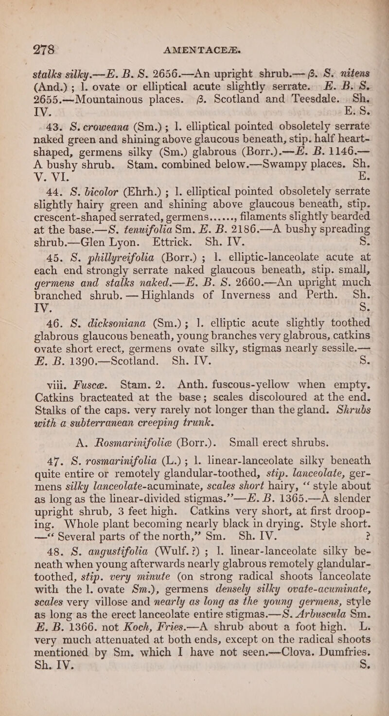 stalks silky.—E. B. 8. 2656.—An upright shrub.— 6. S. nitens (And.) ; 1. ovate or elliptical acute slightly serrate. EH. B.S, 2655.—Mountainous places. £. Scotland and Teesdale. | Sh. IV. E.S. 43. S.croweana (Sm.); 1. elliptical pointed obsoletely serrate naked green and shining above glaucous beneath, stip. half heart- shaped, germens silky (Sm.) glabrous (Borr.).—#. B. 1146,— A bushy shrub. Stam. combined below.—Swampy places, se ViVi 44. §. bicolor (Ehrh.) ; 1. elliptical pointed obsoletely salts slightly hairy green and shining above glaucous beneath, stip. crescent-shaped serrated, germens...... , filaments slightly bearded at the base.—S. tenuifolia Sm. E. B. 2186, —A bushy spreading shrub.—Glen Lyon. Ettrick. Sh. IV. S. 45. S. phillyreifolia (Borr.) ; 1. elliptic-lanceolate acute at each end strongly serrate naked glaucous beneath, stip. small, germens and stalks naked.—E. B. S. 2660.—An upright much branched shrub. — Highlands of Inverness and Perth. Sh. IV. S. 46. S. dicksoniana (Sm.); 1. elliptic acute slightly toothed glabrous glaucous beneath, young branches very glabrous, catkins ovate short erect, germens ovate silky, stigmas nearly sessile.— E. B. 1390.—Scotland. Sh. IV. vill. Fusce. Stam. 2. Anth. fuscous-yellow when empty. Catkins bracteated at the base; scales discoloured at the end. Stalks of the caps. very rarely not longer than the gland. Shrubs with a subterranean creeping trunk. A. Rosmarinifolie (Borr.). Small erect shrubs. 47. S. rosmarinifolia (L.) ; 1. linear-lanceolate silky beneath quite entire or remotely glandular- toothed, stip. lanceolate, ger- mens silky lanceolate-acuminate, scales short hairy, “‘ style about as long as the linear-divided stigmas.”—E. B. 1365.—A slender upright shrub, 3 feet high. Catkins very short, at first droop- ing. Whole plant becoming nearly black in drying. Style short —‘ Several parts of the north,” Sm. Sh. IV. 48. S. angustifolia (Wulf.?) ; 1. linear-lanceolate silky oe neath when young afterwards nearly glabrous remotely glandular- toothed, stip. very minute (on strong radical shoots lanceolate with the 1. ovate Sm.), germens densely silky ovate-acuminate, scales very villose and nearly as long as the young germens, style as long as the erect lanceolate entire stigmas.—S. Arbuscula Sm. E. B. 1366. not Koch, Fries.—A shrub about a foot high. L. very much attenuated at both ends, except on the radical shoots go by Sm. which I have not seen.—Clova. Dumfries. h. IV S.