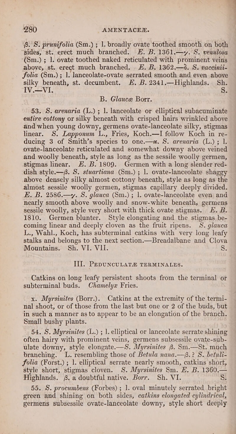 6. S. prunifolia (Sm.) ; 1. broadly ovate toothed smooth on both sides, st. erect much branched. LH. B. 1361.—y. S. venulosa ‘(Sm.) ; 1. ovate toothed naked reticulated with prominent veins above, st. erect much branched. EH. B. 1362.—0. S. vaccinii- folia (Sm.); 1. lanceolate-ovate serrated smooth and even above silky beneath, st. decumbent. H. B. 2341.—Highlands. Sh. Iv.—VI. 8. B. Glauce Borr. 53. S. arenaria (L.) ; 1. lanceolate or elliptical subacuminate entire cottony or silky beneath with crisped hairs wrinkled above and when young downy, germens ovate-lanceolate silky, stigmas linear. S. Lapponum L., Fries, Koch.—I follow Koch in re- ducing 3 of Smith’s species to one.—e. S. arenaria (L.) ; 1. ovate-lanceolate reticulated and somewhat downy above veined and woolly beneath, style as long as the sessile woolly germen, stigmas linear. #. B. 1809. Germen with a long slender red- dish style.—8. S. stuartiana (Sm.); 1. ovate-lanceolate shaggy above densely silky almost cottony beneath, style as long as the almost sessile woolly germen, stigmas capillary deeply divided. KE. B. 2586.—y. S. glauca (Sm.) ; 1. ovate-lanceolate even and nearly smooth above woolly and snow-white beneath, germens sessile woolly, style very short with thick ovate stigmas. LH. B. 1810. Germen blunter. Style elongating and the stigmas be- coming linear and deeply cloven as the fruit ripens. S. glauca L., Wahl., Koch, has subterminal catkins with very long leafy stalks and belongs to the next section.—Breadalbane and Clova Mountains. Sh. VI. VII. S. Ill. PEDUNCULATE TERMINALES. Catkins on long leafy persistent shoots from the terminal or subterminal buds. Chamelyx Fries. x. Myrsinites (Borr.). Catkins at the extremity of the termi- nal shoot, or of those from the last but one or 2 of the buds, but in such a manner as to appear to be an elongation of the branch. Small bushy plants. 54. S. Myrsinites (L.) ; 1. elliptical or lanceolate serrate shining often hairy with prominent veins, germens subsessile ovate-sub- ulate downy, style elongate.—S. Myrsinites 8. Sm.—St. much branching. lL. resembling those of Betula nana.—6.? S. betuli- folia (Forst.) ; 1. elliptical serrate nearly smooth, catkins short, style short, stigmas cloven. S. Myrsinites Sm. E. B. 1360.— Highlands. £. a doubtful native. Borr. Sh. VI. S. 55. S. procumbens (Forbes) ; 1. oval minutely serrated bright green and shining on both sides, catkins elongated cylindrical, germens subsessile ovate-lanceolate downy, style short deeply