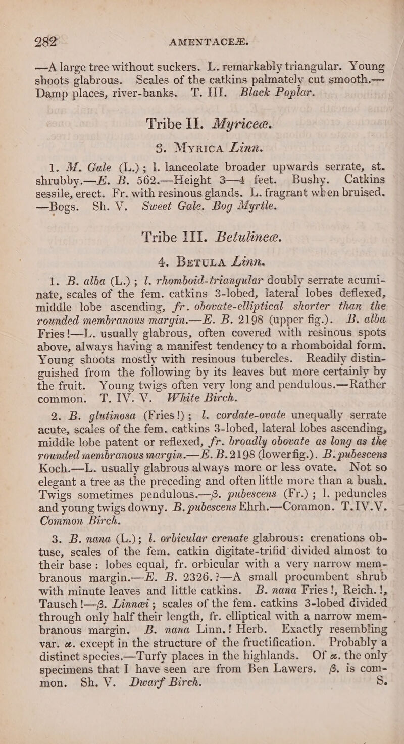 2982 AMENTACES. —A large tree without suckers. L. remarkably triangular. Young shoots glabrous. Scales of the catkins palmately cut smooth.— Damp places, river-banks. T. III. Black Poplar. Tribe Il. Myricee. 3, Myrica Linn. 1. M. Gale (L.); 1. lanceolate broader upwards serrate, st. shrubby.—E. B. 562.—Height 3—4 feet. Bushy. Catkins sessile, erect. Fr. with resinous glands. L. fragrant when bruised. —Bogs. Sh. V. Sweet Gale. Bog Myrtle. Tribe IIT. Betulinee. 4, BETULA Linn. 1. B. alba (L.) ; 1. rhomboid-triangular doubly serrate acumi- nate, scales of the fem. catkins 3-lobed, lateral lobes deflexed, middle lobe ascending, fr. obovate-elliptical shorter than the rounded membranous margin.—H. B. 2198 (upper fig.). B. alba Fries !—L. usually glabrous, often covered with resinous spots above, always having a manifest tendency to a rhomboidal form, Young shoots mostly with resinous tubercles. Readily distin- guished from the following by its leaves but more certainly by the fruit. Young twigs often very long and pendulous.— Rather common. T.IV. V. White Birch. 2. B. glutinosa (Fries!); 1. cordate-ovate unequally serrate acute, scales of the fem. catkins 3-lobed, lateral lobes ascending, middle lobe patent or reflexed, fr. broadly obovate as long as the rounded membranous margin.— E. B.2198 (lowerfig.). B. pubescens Koch.—L. usually glabrous always more or less ovate. Not so elegant a tree as the preceding and often little more than a bush. Twigs sometimes pendulous.—6. pubescens (Fr.) ; 1. peduncles and young twigs downy. B. pubescens Ehrh.—Common. T.IV.V. Common Birch. 3. B. nana (L.); 1. orbicular crenate glabrous: crenations ob- tuse, scales of the fem. catkin digitate-trifid divided almost ta their base: lobes equal, fr. orbicular with a very narrow mem- branous margin.—H. B. 2326.:—A small procumbent shrub ‘with minute leaves and little catkins. B. nana Fries!, Reich. !, Tausch !—. Linnei ; scales of the fem. catkins 3-lobed divided through only half their length, fr. elliptical with a narrow mem- | branous margin. B. nana Linn.! Herb. Exactly resembling var. a. except in the structure of the fructification. Probably a distinct species.—Turfy places in the highlands. Of &amp;. the only specimens that I have seen are from Ben Lawers. §. is com-