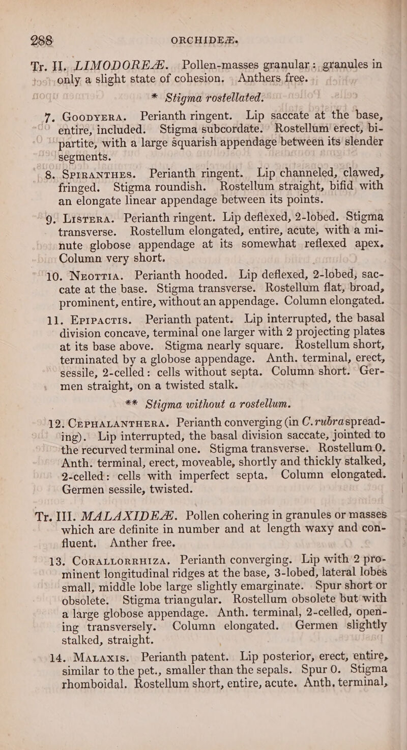 Tr. II. LIMODOREA. Pollen-masses granular; granules in only a slight state of cohesion, | Anthers free. * Stigma rostellated. ”. GoopyrERA. Perianth ringent. Lip saccate at the base, entire, included. Stigma subcordate. Rostellum erect, bi- partite, with a large squarish appendage between its slender segments. -g. Sprrantues. Perianth ringent. Lip channeled, clawed, fringed. Stigma roundish. Rostellum straight, bifid with an elongate linear appendage between its points. 9, Lisrrra. Perianth ringent. Lip deflexed, 2-lobed. Stigma transverse. Rostellum elongated, entire, acute, with a mi- nute globose appendage at its somewhat reflexed apex. Column very short. 10. Neorria. Perianth hooded. Lip deflexed, 2-lobed, sac- cate at the base. Stigma transverse. Rostellum flat, broad, prominent, entire, without an appendage. Column elongated. 11. Eprpacris. Perianth patent. Lip interrupted, the basal division concave, terminal one larger with 2 projecting plates at its base above. Stigma nearly square. Rostellum short, terminated by a globose appendage. Anth. terminal, erect, sessile, 2-celled: cells without septa. Column short. Ger- men straight, on a twisted stalk. ** Stigma without a rostellum. 12, CeEPHALANTHERA. Perianth converging (in C.rubraspread- ing). Lip interrupted, the basal division saccate, jointed to the recurved terminal one. Stigma transverse. Rostellum 0. Anth. terminal, erect, moveable, shortly and thickly stalked, 2-celled: cells with imperfect septa. Column elongated. Germen sessile, twisted. Tr. Ill. MALAXIDE. Pollen cohering in granules or masses which are definite in number and at length waxy and con- fluent. Anther free. 13. CorALtorruIza, Perianth converging. Lip with 2 pro- minent longitudinal ridges at the base, 3-lobed, lateral lobes small, middle lobe large slightly emarginate. Spur short or obsolete. Stigma triangular. Rostellum obsolete but with a large globose appendage. Anth. terminal, 2-celled, open- ing transversely. Column elongated. Germen slightly stalked, straight. 14. Mataxis. Perianth patent. Lip posterior, erect, entire, similar to the pet., smaller than the sepals. Spur 0. Stigma rhomboidal. Rostellum short, entire, acute. Anth, terminal,