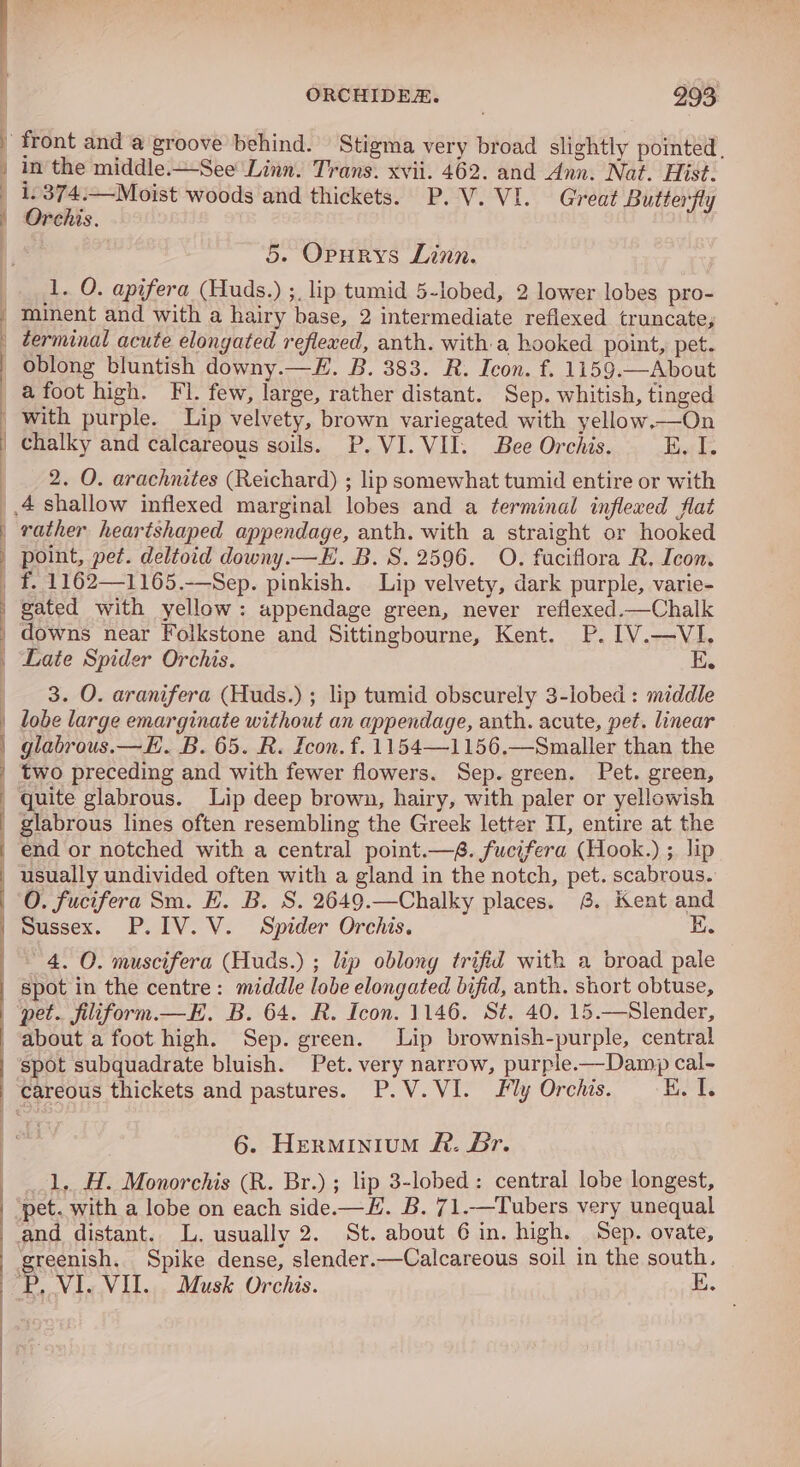 Oe —— | re EL — ee Se = ae ee —E—EoEe=E—E————————— eS eee ORCHIDE. 993 in the middle.—See Linn. Trans. xvii. 462. and Ann. Nat. Hist. i. 374:—Moist woods and thickets. P.V. VI. Great Butterfly Orchis. 5. Opurys Linn. i. O. apifera (Huds.) ;. lip tumid 5-lobed, 2 lower lobes pro- minent and with a hairy base, 2 intermediate reflexed truncate, zerminal acute elongated reflexed, anth. with.a hooked point, pet. oblong bluntish downy.—Z. B. 383. R. Icon. f. 1159.—About afoot high. Fl. few, large, rather distant. Sep. whitish, tinged with purple. Lip velvety, brown variegated with yellow.—On chalky and calcareous soils. P.VI.VII. Bee Orchis. I, 2. O. arachnites (Reichard) ; lip somewhat tumid entire or with rather heartshaped appendage, anth. with a straight or hooked point, pet. deltoid downy.—E. B. S.2596. O. fuciflora R, Icon. f. 1162—1165.—Sep. pinkish. Lip velvety, dark purple, varie- gated with yellow: appendage green, never reflexed.—Chalk downs near Folkstone and Sittingbourne, Kent. P. IV.—VI, Late Spider Orchis. EK 3. O. aranifera (Huds.) ; lip tumid obscurely 3-lobed : middle lobe large emarginate without an appendage, anth. acute, pet. linear glabrous.—E. B. 65. R. Icon. f. 1154—1156.—Smaller than the two preceding and with fewer flowers. Sep. green. Pet. green, quite glabrous. Lip deep brown, hairy, with paler or yellowish glabrous lines often resembling the Greek letter TI, entire at the end or notched with a central point.—é. fucifera (Hook.) ; lip Sussex. P.IV.V. Spider Orchis. EK. 4. O. muscifera (Huds.) ; lip oblong trifid with a broad pale spot subquadrate bluish. Pet. very narrow, purple.—Damp» cal- 6. HerMIniumM FR. Br. 1, H. Monorchis (R. Br.) ; lip 3-lobed: central lobe longest, pet. with a lobe on each side.—H. B. 71.—Tubers very unequal greenish. Spike dense, slender.—Calcareous soil in the south, P, VI. VIL. Musk Orchis.