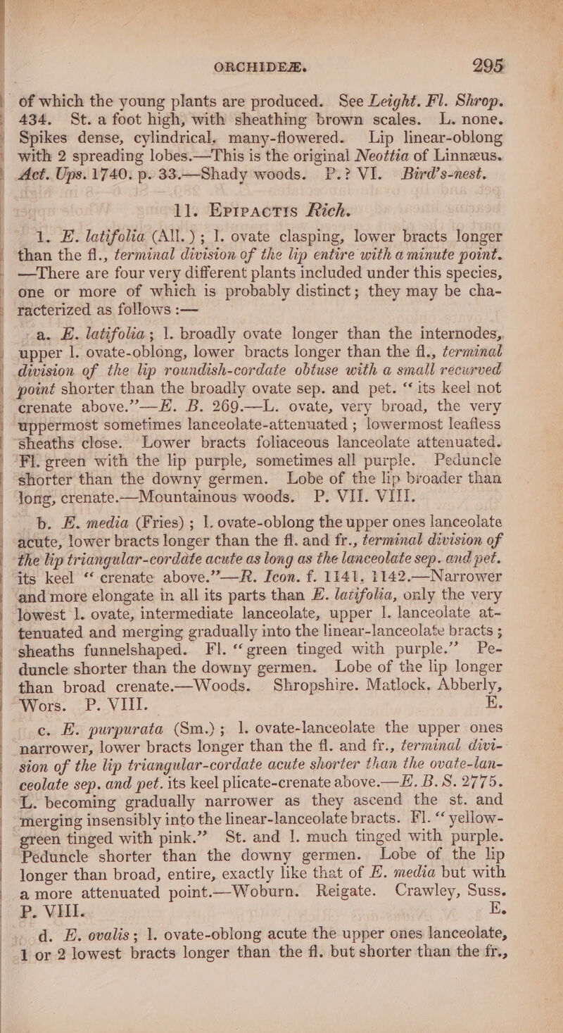 ——— EEE Oe a a = ORCHIDER. 295. 434. St. a foot high, with sheathmg brown scales. L. none. Spikes dense, cylindrical. many-flowered. Lip linear-oblong with 2 spreading lobes.—This is the original Neottia of Linnzus. Act. Ups. 1740. p. 33.—Shady woods. P.? VI. Bird’s-nest. 1l. Erreactis Rich. 1. E. latifolia (All. ); I. ovate clasping, lower bracts longer than the fl., ferminal division of the lip entire with a minute point. —There are four very different plants included under this species, one or more of which is probably distinct; they may be cha- racterized as follows :— a. E. latifolia; 1. broadly ovate longer than the internodes,, upper |. ovate-oblong, lower bracts longer than the fl., terminal uppermost sometimes lanceolate-attenuated ; lowermost leafless FI. green with the lip purple, sometimes all purple. _Peduncle shorter than the downy germen. Lobe of the lip broader than long, crenate.—Mountainous woods. P. VII. VIII. b. E. media (Fries) ; 1. ovate-oblong the upper ones lanceolate acute, lower bracts longer than the fl. and fr., terminal division of its keel “‘ crenate above.”—R. Icon. f. 1141, 1142.—Narrower and more elongate in all its parts than E. latifolia, only the very tenuated and merging gradually into the linear-lanceolate bracts ; sheaths funnelshaped. FI. ‘‘ green tinged with purple.” Pe- duncle shorter than the downy germen. Lobe of the lip longer than broad crenate-—Woods. Shropshire. Matlock, Abberly, Wors. P. VIII. K. c. E. purpurata (Sm.); 1. ovate-lanceolate the upper ones narrower, lower bracts longer than the fl. and fr., terminal divi- sion of the lip triangular-cordate acute shorter than the ovate-lan- ceolate sep. and pet. its keel plicate-crenate above.—H. B.S. 2775. L. becoming gradually narrower as they ascend the st. and “merging insensibly into the linear-lanceolate bracts. Fl. “ yellow- green tinged with pink.” St. and 1. much tinged with purple. Peduncle shorter than the downy germen. Lobe of the lip longer than broad, entire, exactly like that of H. media but with amore attenuated point—Woburn. Reigate. Crawley, Suss. P. VL. E. _.d. E. ovalis; 1. ovate-oblong acute the upper ones lanceolate, -1 or 2 lowest bracts longer than the fl. but shorter than the fr.,