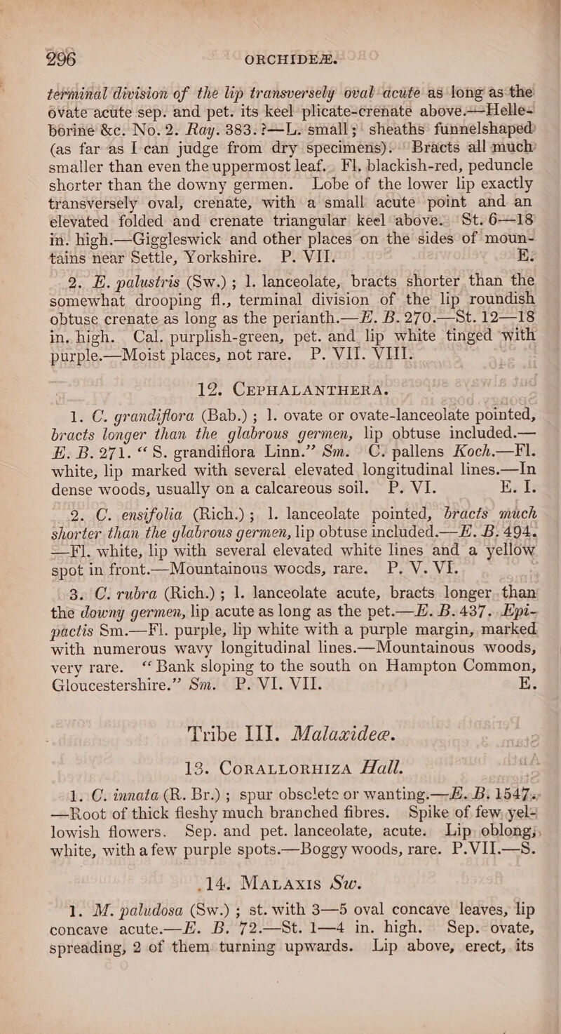 terminal division of the lip transversely oval acute as long as the évate acute sep. and pet. its keel plicate-crenate above.-Helle- boriné &amp;c. No. 2. Ray. 383.?—L. small; : sheaths funnelshaped: (as far as Ican judge from dry specimens). 'Bracts all much smaller than even the uppermost leaf... Fl, blackish-red, peduncle shorter than the downy germen. Lobe of the lower lip exactly transversely oval, crenate, with a small acute point and an elevated folded and crenate triangular keel above. St. 6—18 in. high.—Giggleswick and other places on the sides of moun- tains near Settle, Yorkshire. P. VII. 2. E. palustris (Sw.); 1. lanceolate, bracts shorter than the somewhat drooping fl., terminal division of the lip roundish obtuse crenate as long as the perianth.—H. B. 270.—St. 12—18 in. high. Cal. purplish-green, pet. and. lip white tinged “with purple.—Moist places, not rare. P. VII. VII. 12. CEPHALANTHERA. 1. C. grandiflora (Bab.) ; 1. ovate or ovate-lanceolate pointed, bracts longer than the glabrous germen, lip obtuse included.— E. B.271. “8S. grandiflora Linn.” Sm. C. pallens Koch.—Fl. white, lip marked with several elevated longitudinal lines.—In dense woods, usually on a calcareous soil. P. VI. Ka i 2. C. ensifolia (Rich.); 1. lanceolate pointed, bracts much shorter than the glabrous germen, lip obtuse included.—E. B. 494. —F]. white, lip with several elevated white lines and a yellow spot in front.—Mountainous wocds, rare. P. V. VI. 3. C. rubra (Rich.) ; 1. lanceolate acute, bracts longer..than the downy germen, lip acute as long as the pet.—H. B. 437. .Epi- pactis Sm.—Fl. purple, lip white with a purple margin, marked with numerous wavy longitudinal lines.—Mountainous woods, very rare. ‘“‘ Bank sloping to the south on Hampton Common, Gloucestershire.” Sm. P. VI. VII. Tribe LI]. Malazidee. 13. CoratLoruizaA Hall. 1. C. innata (R. Br.) ; spur obsclete or wanting.—#..B. 1547. —Root of thick fleshy much branched fibres. Spike of few, yel- lowish flowers. Sep. and pet. lanceolate, acute. Lip, oblong;, white, with afew purple spots.—Boggy woods, rare. P.VII.—S. 14. Maraxis Sw. 1. M. paludosa (Sw.) ; st. with 3—5 oval concave leaves, lip concave acute.—H. B. 72.—St. 1—4 in. high. Sep. ovate, spreading, 2 of them turning upwards. Lip above, erect, its