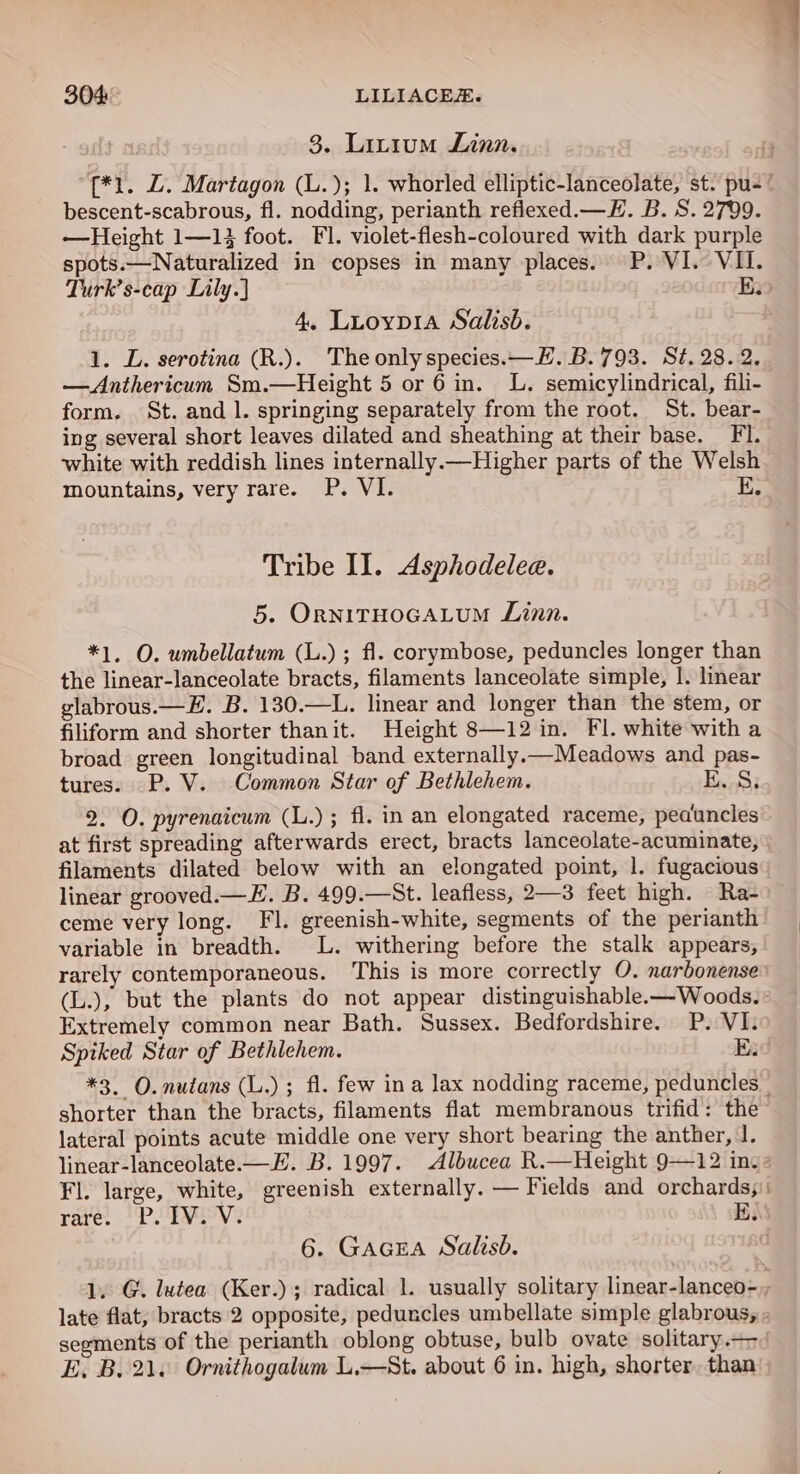 3. Litium Linn. {*1. LZ. Martagon (L.); 1. whorled elliptic-lanceolate, st. pu- bescent-scabrous, fl. nodding, perianth refiexed.— EH. B. S. 2799. —Height 1—14 foot. FI. violet-flesh-coloured with dark purple spots.—Naturalized in copses in many places. P. VI. VII. Turk’s-cap Lily.) E. 4. Luoyp1a Salish. 1. L. serotina (R.). Theonlyspecies.—LH. B.793. St. 28.2. —Anthericum Sm.—Height 5 or 6 in. L. semicylindrical, fili- form. St. and 1. springing separately from the root. St. bear- ing several short leaves dilated and sheathing at their base, Fl. white with reddish lines internally.—Higher parts of the Welsh mountains, very rare. P. VI. E. Tribe II. Asphodelee. 5. ORNITHOGALUM Linn. *1, O. umbellatum (L.) ; fl. corymbose, peduncles longer than the linear-lanceolate bracts, filaments lanceolate simple, I. linear glabrous.—E. B. 130.—L. linear and longer than the stem, or filiform and shorter thanit. Height 8—12 in. Fl. white with a broad green longitudinal band externally.—Meadows and pas- tures. P. V. Common Star of Bethlehem. Ba 2. O. pyrenaicum (L.); fi. in an elongated raceme, peauncles at first spreading afterwards erect, bracts lanceolate-acuminate, filaments dilated below with an elongated point, |. fugacious linear grooved.—E. B. 499.—St. leafless, 2—3 feet high. Ra- ceme very long. Fl. greenish-white, segments of the perianth variable in breadth. L. withering before the stalk appears, rarely contemporaneous. This is more correctly O. narbonense (L.), but the plants do not appear distinguishable.-— Woods. Extremely common near Bath. Sussex. Bedfordshire. P. VI. Spiked Star of Bethlehem. Ei *3. O. nutans (L.) ; fl. few ina lax nodding raceme, peduncles _ shorter than the bracts, filaments flat membranous trifid: the lateral points acute middle one very short bearing the anther, |. linear-lanceolate.—F. B. 1997. Albucea R.—Height 9—12 in. Fl. large, white, greenish externally. — Fields and orchards; rare. P. IV. V. 6. GAGEA Salisb. 1. G. lutea (Ker.); radical 1. usually solitary linear-lanceo-,, late flat, bracts 2 opposite, peduncles umbellate simple glabrous, segments of the perianth oblong obtuse, bulb ovate solitary.+- E, B. 21. Ornithogalum L.—St. about 6 in. high, shorter, than