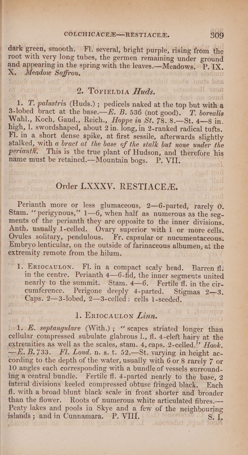 :. ew EO COLCHICACEH—RESTIACEXR. 309 dark green, smooth. Fl. several, bright purple, rising from the root with very long tubes, the germen remaining under ground and appearing in the spring with the leaves.—Meadows. P. IX. X.. Meadow Saffron. pesca 2. Torretpia Auds. 1. T. palustris (Huds.) ; pedicels naked at the top but witha 3-lobed bract at the base.—E. B. 536 (not good). T. borealis Wahl., Koch, Gaud., Reich., Hoppe in St. 78. 8.—St. 4—8 in. high, 1. swordshaped, about 2 in. long, in 2-ranked radical tufts. Fl. in a short dense spike, at first sessile, afterwards slightly stalked, with a bract at the base of the stalk but none under the pertanth. ‘This is the true plant of Hudson, and therefore his name must be retained.—Mountain bogs. P. VII. | Order LXXXV. RESTIACEA. Perianth more or less glumaceous, 2—6-parted, rarely 0. Stam. “‘ perigynous,” 1—6, when half as numerous as the seg- ments of the perianth they are opposite to the inner divisions. Anth. usually 1-celled. Ovary superior with 1 or more cells. Ovules solitary, pendulous. Fr. capsular or nucumentaceous: Embryo lenticular, on the outside of farinaceous albumen, at the extremity remote from the hilum. 1. Ertocauton. Fl. in a compact scaly head. Barren fi: in the centre. Perianth 4—6-fid, the inner segments united nearly to the summit. Stam. 4—6. Fertile ff. in the cir- cumference. Perigone deeply 4-parted. Stigmas 2—3. Caps. 2—3-lobed, 2—3-celled: cells 1-seeded. j. Er1ocauton Linn. ool. EB. septangulare (With.) ; “scapes striated Jonger than cellular compressed subulate glabrous 1., fl. 4-cleft hairy at the extremities as well as the scales, stam. 4, caps. 2-celled.’? Hook. —E. B.733. Fl. Lond. n. s. t. 52.—St. varying in height ac- cording to the depth of the water, usually with 6 or 8 rarely 7 or 10 angles each corresponding with a bundle of vessels surround- ing a central bundle. Fertile fl. 4-parted nearly te the base, 2 lateral divisions keeled compressed obtuse fringed black. Each fl. with a broad blunt black scale in front shorter and broader than the flower. Roots of numerous white articulated fibres.— Peaty lakes and pools ia Skye and a few of the neighbouring islands ; andin Cunnamara. P. VIII. e hed 