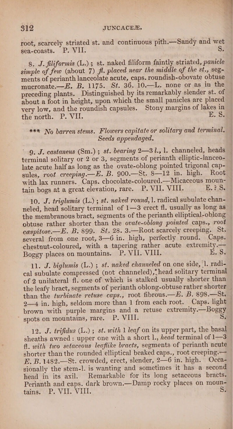 root, scarcely striated st. and continuous pith.—Sandy and wet sea-coasts. P. VII. g. J. filiformis (L.); st. naked filiform faintly striated, panicle simple of few (about 7) fl. placed near the middle of the st., seg- ments of perianth lanceolate acute, caps. roundish- obovate obtuse mucronate.—E. B. 1175. St. 36. 10.—L. none or as in the preceding plants. Distinguished by its remarkably slender st. of about a foot in height, upon which the small panicles are placed very low, and the roundish capsules. Stony margins of lakes in the north. P. VII. E. 8. **% No barren stems. Flowers capitate or solitary and terminal. Seeds appendaged. 9. J. castaneus (Sm.) ; st. bearing 2—3 1., 1. channeled, heads terminal solitary or 2 or 3, segments of perianth elliptic-lanceo- late acute half as long as the ovate-oblong pointed trigonal cap- sules, root creeping.—E. B. 900.—St. 8—12 in. high. Root with lax runners. Caps. chocolate-coloured.—Micaceous moun- tain bogs at a great elevation, rare. P. VII. VIII. E.?.S. 10. J. triglumis (L.) ; st. naked round, 1. radical subulate chan- neled, head solitary terminal of 1—3 erect fl. usually as long as the membranous bract, segments of the perianth elliptical-oblong obtuse rather shorter than the ovate-oblong pointed caps., root cespitose.—E. B. 899. St. 28. 3.—Root scarcely creeping. St. several from one root, 3—6 in. high, perfectly round. Caps. chestnut-coloured, with a tapering rather acute extremity.— Boggy places on mountains. P. VII. VIII. 11. J. biglumis (L.) ; st. naked channeled on one side, ‘1. radi- cal subulate compressed (not channeled), head solitary terminal of 2 unilateral fi. one of which is stalked usually shorter than the leafy bract, segments of perianth oblong-obtuse rather shorter than the turbinate retuse caps., root fibrous—EH. B. 898.—St. 9—4 in. high, seldom more than 1 from each root. Caps. light brown with purple margins and a retuse extremity.—Boggy spots on mountains, rare. P. VIII. S. 12. J. trifidus (L.) ; st. with 1 leaf on its upper part, the basal sheaths awned : upper one with a short 1., head terminal of 1—3 fil. with two setaceous leaflike bracts, segments of perianth acute shorter than the rounded elliptical beaked caps., root creeping.— E. B. 1482.—St. crowded, erect, slender, 2—6 in. high. Occa- sionally the stem-l. is wanting and sometimes it has a second head in its axil. Remarkable for its long setaceous bracts. Perianth and caps. dark brown.—Damp rocky places on moun- tains. P. VII. VIII. Ss. |