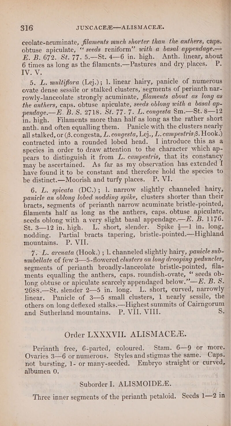 ceolate-acuminate, filaments much shorter than the anthers, caps. obtuse apiculate, ‘seeds reniform” with a basal appendage.— E. B. 672. St. 77. 5.—St. 4—6 in. high. Anth. linear, about 6 times as long as the filaments.—Pastures and dry places. P. Vie Vc 5, L. multiflora (Lej.); 1. linear hairy, panicle of numerous ovate dense sessile or stalked clusters, segments of perianth nar- rowly-lanceolate strongly acuminate, filaments about as long as the anthers, caps. obtuse apiculate, seeds oblong with a basal ap- pendage.—E. B. S. 2718. St. 77. 7. L. congesta Sm.—St. 8—12 in. high. Filaments more than half as long as the rather short anth. and often equalling them. Panicle with the clusters nearly all stalked, or (6. congesta, L. congesta, Lej., L. campestris 8. Hook.) contracted into a rounded lobed head. I introduce this as a species in order to draw attention to the character which ap- pears to distinguish it from L. campestris, that its constancy may be ascertained. As far as my observation has extended I have found it to be constant and therefore hold the species to be distinct.—Moorish and turfy places. P. VI. 6. L. spicata (DC.); 1. narrow slightly channeled hairy, panicle an oblong lobed nodding spike, clusters shorter than their bracts, segments of perianth narrow acuminate bristle-pointed, filaments half as long as the anthers, caps. obtuse apiculate, seeds oblong with a very slight basal appendage.—E. B. 1176. St. 3—12 in. high. L. short, slender. Spike 3—1 in, long, nodding. Partial bracts tapering, bristle-pointed.—Highland mountains. P. VII. 7. L. arcuata (Hook.) ; 1. channeled slightly hairy, panicle sub- ambellate of few 3—5-flowered clusters on long drooping peduncles, segments of perianth broadly-lanceolate bristle-pointed, fila- ments equalling the anthers, caps. roundish-ovate, “seeds ob- long obtuse or apiculate scarcely appendaged below.””—E. B.S. 2688.—St. slender 2—5 in. long. L. short, curved, narrowly linear. Panicle of 3—5 small clusters, 1 nearly sessile, the others on long deflexed stalks.—Highest surnmits of Cairngorum and Sutherland mountains. P. VII. VIII. Order LXXXVII. ALISMACE. Perianth free, 6-parted, coloured. Stam. 6—9 or more. Ovaries 3—6 or numerous. Styles and stigmas the same. Caps. not bursting, 1- or many-seeded. Embryo straight or curved, albumen 0. Suborder I. ALISMOIDE. Three inner segments of the perianth petaloid. Seeds 1—2 in