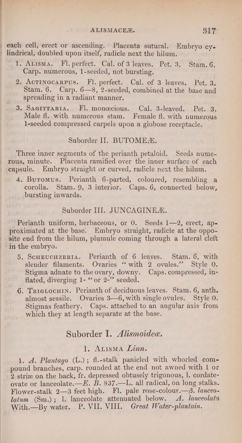 each cell, erect or ascending. Placenta sutural. Embryo cy- . lindrical, doubled upon itself, radicle next the hilum. 4 1. Atisma. Fl. perfect. Cal. of 3 leaves. Pet. 3. Stam. 6. Carp. numerous, |-seeded, not bursting. 2. AcTiNocaRPus. Fl. perfect. Cal. of 3 leaves. Pet. 3. Stam. 6. Carp. 6—8, 2-seeded, combined at the base and spreading in a radiant manner. 3. SacitTaria. Fl. monoecious. Cal. 3-leaved. Pet. 3. Male fl. with numerous stam. Female fl. with numerous 1-seeded compressed carpels upon a globose receptacle. Suborder II. BUTOMEA. Three inner segments of the perianth petaloid. Seeds nume- - rous, minute. Placenta ramified over the inner surface of each _ capsule. Embryo straight or curved, radicle next the hilum. 4. Buromus. Perianth 6-parted, coloured, resembling a corolla. Stam. 9, 3 interior. Caps. 6, connected below, bursting inwards. Suborder III. JUNCAGINEA. Perianth uniform, herbaceous, or 0. Seeds 1—2, erect, ap- proximated at the base. Embryo straight, radicle at the oppo- site end from the hilum, plumule coming through a lateral cleft | in the embryo. 5. ScHEUCHZERIA. Perianth of 6 leaves. Stam. 6, with slender filaments. Ovaries ‘“ with 2 ovules.” Style 0. Stigma adnate to the ovary, downy. Caps. compressed, in- flated, diverging 1- ‘‘ or 2-”’ seeded. 6. TriGLocHIN. Perianth of deciduous leaves. Stam. 6, anth. almost sessile. Ovaries 3—6, with singleovules. Style 0. Stigmas feathery. Caps. attached to an angular axis from which they at length separate at the base. Suborder I. Alismoidee. 1. ALIsMA Linn. 1. A. Plantago (L.); fl.-stalk panicled with whorled com- pound branches, carp. rounded at the end not awned with 1 or 2. strie on the back, fr. depressed obtusely trigonous, |. cordate- ovate or lanceolate.—H. B. 837.—L. all radical, on long stalks. Flower-stalk 2—3 feet high. FI. pale rose-colour.—6. lanceo- latum (Sm.); 1. lanceolate attenuated below. A. lanceolata With.—By water. P. VII. VIII. Great Water-planian.