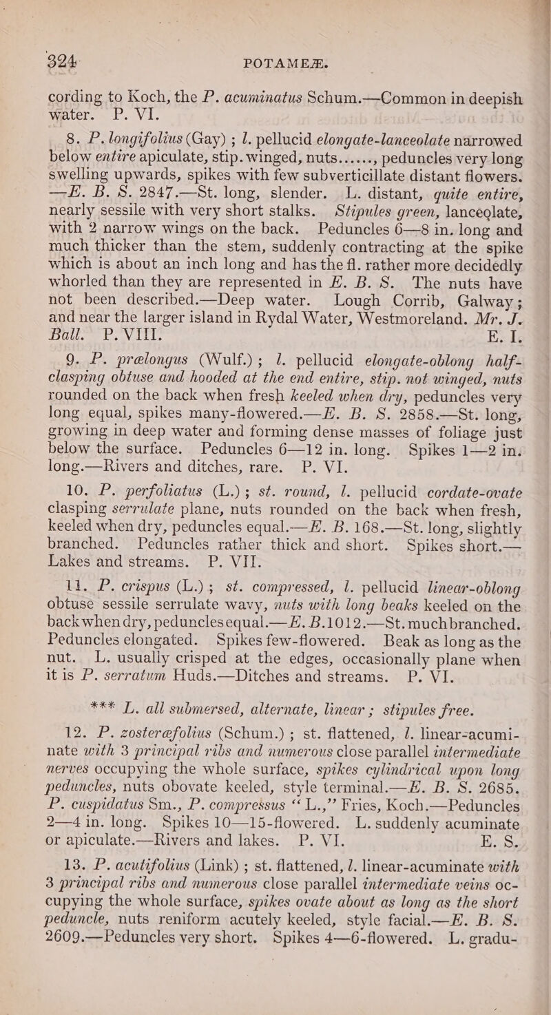 cording to Koch, the P. acwminatus Schum.—Common in deepish water. etV Le 8. P. longifolius (Gay) ; 1. pellucid elongate-lanceolate narrowed below entire apiculate, stip. winged, nuts...... , peduncles very long swelling upwards, spikes with few subverticillate distant flowers. —H. B. S. 2847.—St. long, slender. L. distant, guite entire, nearly sessile with very short stalks. Stipules green, lanceolate, with 2 narrow wings on the back. Peduncles 6—8 in. long and much thicker than the stem, suddenly contracting at the spike which is about an inch long and has the fl. rather more decidedly whorled than they are represented in H. B. S. The nuts have not been described.—Deep water. Lough Corrib, Galway; and near the larger island in Rydal Water, Westmoreland. Mr. J. ‘boll. b. VILL, E. Ik 9. P. prelongus (Wulf.); 1. pellucid elongate-oblong half- clasping obtuse and hooded at the end entire, stip. not winged, nuts rounded on the back when fresh keeled when dry, peduncles very long equal, spikes many-flowered.—H. B. S. 2858.—St. long, growing in deep water and forming dense masses of foliage just below the surface. Peduncles 6—12 in. long. Spikes 1—2 in. long.—Rivers and ditches, rare. P. VI. 10. P. perfoliatus (L.); st. round, 1. pellucid cordate-ovate clasping serrulate plane, nuts rounded on the back when fresh, keeled when dry, peduncles equal.—#. B. 168.—St. long, slightly branched. Peduncles rather thick and short. Spikes short.— Lakes and streams. P. VII. 11. P. crispus (L.); st. compressed, 1. pellucid linear-oblong obtuse sessile serrulate wavy, nuts with long beaks keeled on the back when dry, pedunclesequal.— EL. B.1012.—St. muchbranched. Peduncles elongated. Spikes few-flowered. Beak as long as the nut. L. usually crisped at the edges, occasionally plane when it is P. serratum Huds.—Ditches and streams. P. VI. *** LT. all submersed, alternate, linear ; stipules free. 12. P. zosterefolius (Schum.) ; st. flattened, 7. linear=acumi- nate with 3 principal ribs and numerous close parallel intermediate nerves occupying the whole surface, spikes cylindrical upon long peduncles, nuts obovate keeled, style terminal.—H. B. S. 2685. P. cuspidatus Sm., P. compressus ‘‘ L.,’’ Fries, Koch.—Peduncles 2—4 in. long. Spikes 10—15-flowered. L. suddenly acuminate or apiculate.—Rivers and lakes. P. VI. BS 13. P. acutifolius (Link) ; st. flattened, 2. lmear-acuminate with 3 principal ribs and numerous close parallel intermediate veins oc- cupying the whole surface, spikes ovate about as long as the short peduncle, nuts reniform acutely keeled, style facial—E. B. S. 2609.—Peduncles very short. Spikes 4—6-flowered. L. gradu-