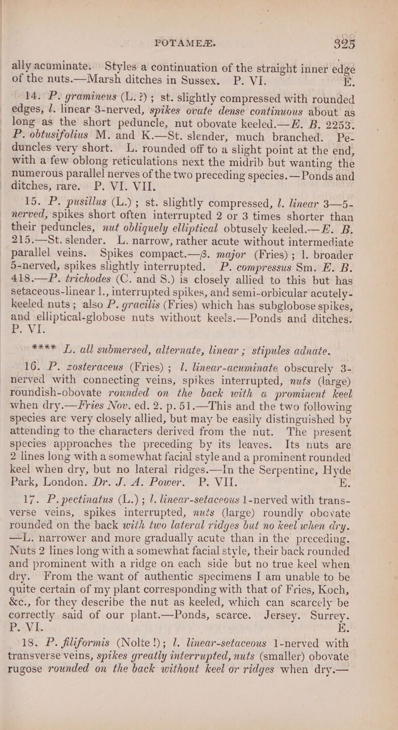 ally acuminate. Styles a continuation of the straight inner edge of the nuts.—Marsh ditches in Sussex. P. VI. E. 14. P. gramineus (L.?); st. slightly compressed with rounded edges, /. linear 3-nerved, spikes ovate dense continuous about as long as the short peduncle, nut obovate keeled.—E. B. 2253. P. obtusifolius M. and K.—St. slender, much branched. Pe- duncles very short. L. rounded off to a slight point at the end, with a few oblong reticulations next the midrib but wanting the numerous parallel nerves of the two preceding species. — Ponds and ditches, rare. P. VI. VII. 15. P. pusillus (L.); st. slightly compressed, J. linear 3—5- nerved, spikes short often interrupted 2 or 3 times shorter than their peduncles, nut obliquely elliptical obtusely keeled.-—E. B. 215.—St. slender. L. narrow, rather acute without intermediate parallel veins. Spikes compact.—6. major (Fries) ; 1. broader 5-nerved, spikes slightly interrupted. P. compressus Sm. E. B. 418.—P. trichodes (C. and 8.) is closely allied to this but has setaceous-linear |., interrupted spikes, and semi-orbicular acutely- keeled nuts; also P. gracilis (Fries) which has subglobose spikes, and elliptical-globose nuts without keels—Ponds and ditches. Ee. VI REX TF. all submersed, alternate, linear ; stipules adnate. 16. P. zosteraceus (Fries) ; 1. linear-acuminate, obscurely 3- nerved with connecting veins, spikes interrupted, nuts (large) roundish-obovate rounded on the back with « prominent keel when dry.—Fries Nov. ed. 2. p.51.—This and the two following species are very closely allied, but may be easily distinguished by attending to the characters derived from the nut. The present species approaches the preceding by its leaves. Its nuts are 2 lines long with a somewhat facial style and a prominent rounded keel when dry, but no lateral ridges.—In the Serpentine, Hyde Park; London? DriJi A: Power) \P. VIL. E 17. P.pectinatus (L.) ; /. linear-setaceous 1-nerved with trans- verse veins, spikes interrupted, nuzs (large) roundly obevate rounded on the back with two lateral ridges but no keel when dry. —L. narrower and more gradually acute than in the preceding. Nuts 2 lines long with a somewhat facial style, their back rounded and prominent with a ridge on each side but no true keel when dry. From the want of authentic specimens I am unable to be quite certain of my plant corresponding with that of Fries, Koch, &amp;c., for they describe the nut as keeled, which can scarcely be correctly said of our plant.—Ponds, scarce. Jersey. Surrey. P.-VI. K. 18. P. filiformis (Nolte!); 1. linear-setaceous 1-nerved with transverse veins, spikes greatly interrupted, nuts (smaller) obovate rugose rounded on the back without keel or ridges when dry.—