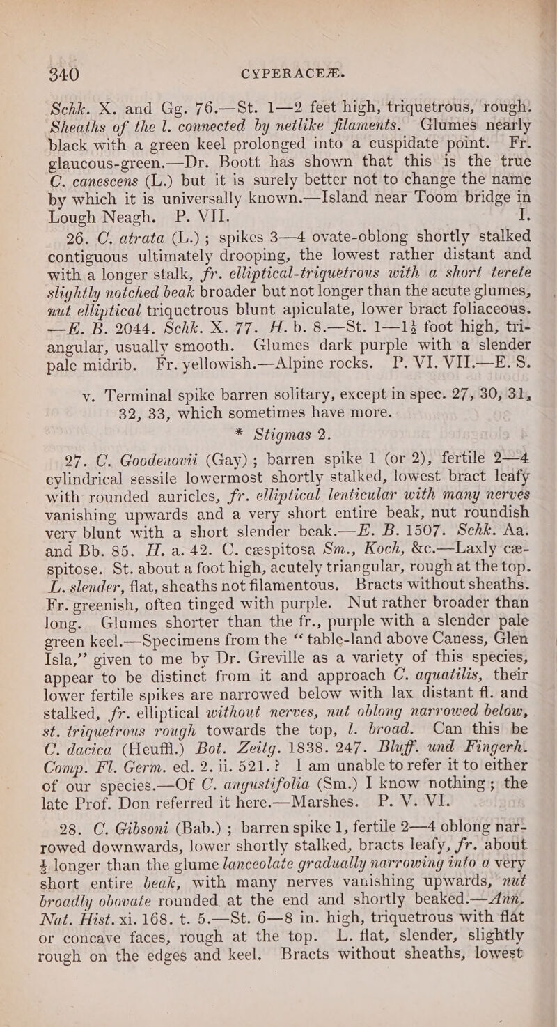 ‘Schk. X. and Gg. 76.—St. 1—2 feet high, triquetrous, rough. Sheaths of the l. connected by netlike filaments. Glumes nearly black with a green keel prolonged into a cuspidate point. Fr. glaucous-green.—Dr. Boott has shown that this is the true C. canescens (L.) but it is surely better not to change the name by which it is universally known.—Island near Toom bridge in Lough Neagh. P. VII. , 26. C. atrata (L.) ; spikes 3—4 ovate-oblong shortly stalked contiguous ultimately drooping, the lowest rather distant and with a longer stalk, fr. elliptical-triquetrous with a short terete slightly notched beak broader but not longer than the acute glumes, nut elliptical triquetrous blunt apiculate, lower bract foliaceous. —E. B. 2044. Schk. X. 77. H.b. 8.—St. 1—14 foot high, tri- angular, usually smooth. Glumes dark purple with a slender pale midrib. Fr. yellowish.—Alpine rocks. P. VI. VII.—E.S. y. Terminal spike barren solitary, except in spec. 27, 30, 31, 32, 33, which sometimes have more. * Stigmas 2. 27. C. Goodenovii (Gay); barren spike 1 (or 2), fertile 2—4 cylindrical sessile lowermost shortly stalked, lowest bract leafy with rounded auricles, fr. elliptical lenticular with many nerves vanishing upwards and a very short entire beak, nut roundish very blunt with a short slender beak.—H. B. 1507. Schk. Aa. and Bb. 85. H. a. 42. C. cespitosa Sm., Koch, &amp;c.—Laxly cex- spitose. St. about a foot high, acutely triangular, rough at the top. L. slender, flat, sheaths not filamentous. Bracts without sheaths. Fr. greenish, often tinged with purple. Nut rather broader than long. Glumes shorter than the fr., purple with a slender pale green keel.—Specimens from the “ table-land above Caness, Glen Isla,” given to me by Dr. Greville as a variety of this species, appear to be distinct from it and approach C. aquatilis, their lower fertile spikes are narrowed below with lax distant fl. and stalked, fr. elliptical without nerves, nut oblong narrowed below, st. triquetrous rough towards the top, J. broad. Can this be C. dacica (Heuffl.) Bot. Zeitg. 1838. 247. Bluff. und Fingerh. Comp. Fl. Germ. ed. 2. ii. 521.? Iam unable to refer it to either of our species.—Of C. angustifolia (Sm.) I know nothing; the late Prof. Don referred it here.—Marshes. P. V. VI. 28. C. Gibsoni (Bab.) ; barren spike 1, fertile 2—4 oblong nar- rowed downwards, lower shortly stalked, bracts leafy, fr. about i longer than the glume lanceolate gradually narrowing into a very short entire beak, with many nerves vanishing upwards, nut broadly obovate rounded. at the end and shortly beaked.— Ann. Nat. Hist. xi. 168. t. 5.—St. 6—8 in. high, triquetrous with flat or concave faces, rough at the top. L. flat, slender, slightly rough on the edges and keel. Bracts without sheaths, lowest