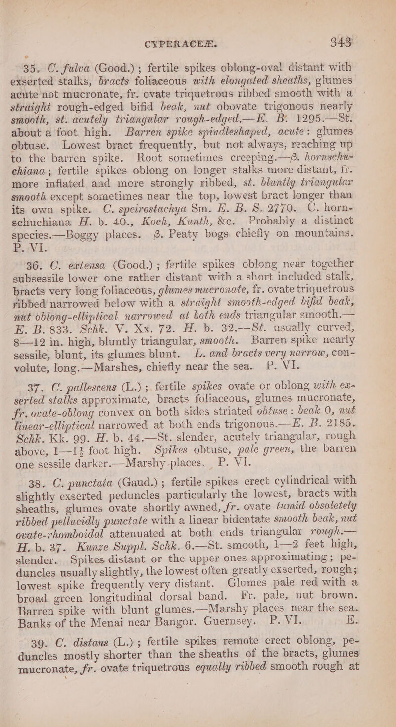 CYPERACER. 34.3; 35. C. fulva (Good.) ; fertile spikes oblong-oval distant with exserted stalks, bracts foliaceous with elongated sheaths, glumes acute not mucronate, fr. ovate triquetrous ribbed smooth with a straight rough-edged bifid beak, nut obovate trigonous nearly smooth, st. acutely triangular rough-edged.—E. B. 1295.—St. about a foot. high. Barren spike spindleshaped, acute: glumes obtuse. Lowest bract frequently, but not always, reaching up to the barren spike. Root sometimes creeping.—@. hornschu- chiana ; fertile spikes oblong on longer stalks more distant, fr. more inflated and more strongly ribbed, st. bluntly triangular smooth except sometimes near the top, lowest bract longer than its own spike. C. speirostachya Sm. HE. B. S.2770. C. horn- schuchiana H. b. 40., Koch, Kunth, &amp;c. Probably a distinct species.—Boggy places. @. Peaty bogs chiefly on mountains. BN. 36. C. extensa (Good.) ; fertile spikes oblong near together subsessile lower one rather distant with a short included stalk, bracts very long foliaceous, glumes mucronate, fr. ovate triquetrous ribbed narrowed below with a straight smooth-edged byfid beak, nut oblong-elliptical narrowed at beth ends triangular smooth.— E. B. 833. Schk. V. Xx. 72. H. b. 32.-—S¢. usually curved, §—12 in. high, bluntly triangular, smooth. Barren spike nearly sessile, blunt, its glumes blunt. L. and bracts very narrow, con- volute, long.—Marshes, chiefly near the sea. P. VI. 37. C. pallescens (L.) ; fertile spikes ovate or oblong with ex- serted stalks approximate, bracts foliaceous, glumes mucronate, fr. ovate-oblong convex on both sides striated obtuse: beak 0, nut linear-elliptical narrowed at both ends trigonous.—E, B. 2185. Schk. Kk. 99. H. b. 44.—St. slender, acutely triangular, rough above, 113 foot high. Spikes obtuse, pale green, the barren one sessile darker.—Marshy-places. P. VI. 38. C. punctata (Gaud.) ; fertile spikes erect cylindrical with slightly exserted peduncles particularly the lowest, bracts with sheaths, glumes ovate shortly awned, fr. ovate tumid obsoletely ribbed pellucidly punctate with a linear bidentate smooth beak, nut ovate-rhomboidal attenuated at both ends triangular rowgh.— H..b. 37. Kunze Suppl. Schk. 6.—St. smooth, 1—2 feet high, slender. Spikes distant or the upper ones approximating ; pe- duncles usually slightly, the lowest often greatly exserted, rough; lowest spike frequently very distant. Glumes pale red with a broad green longitudinal dorsal band. Fr. pale, nut brown. Barren spike with blunt glumes.—Marshy places near the sea. Banks of the Menai near Bangor. Guernsey. P. VI. EK. 39. ©. distans (L.) ; fertile spikes remote erect oblong, pe- ‘duncles mostly shorter than the sheaths of the bracts, glumes mucronate, fr. ovate triquetrous equally ribbed smooth rough at