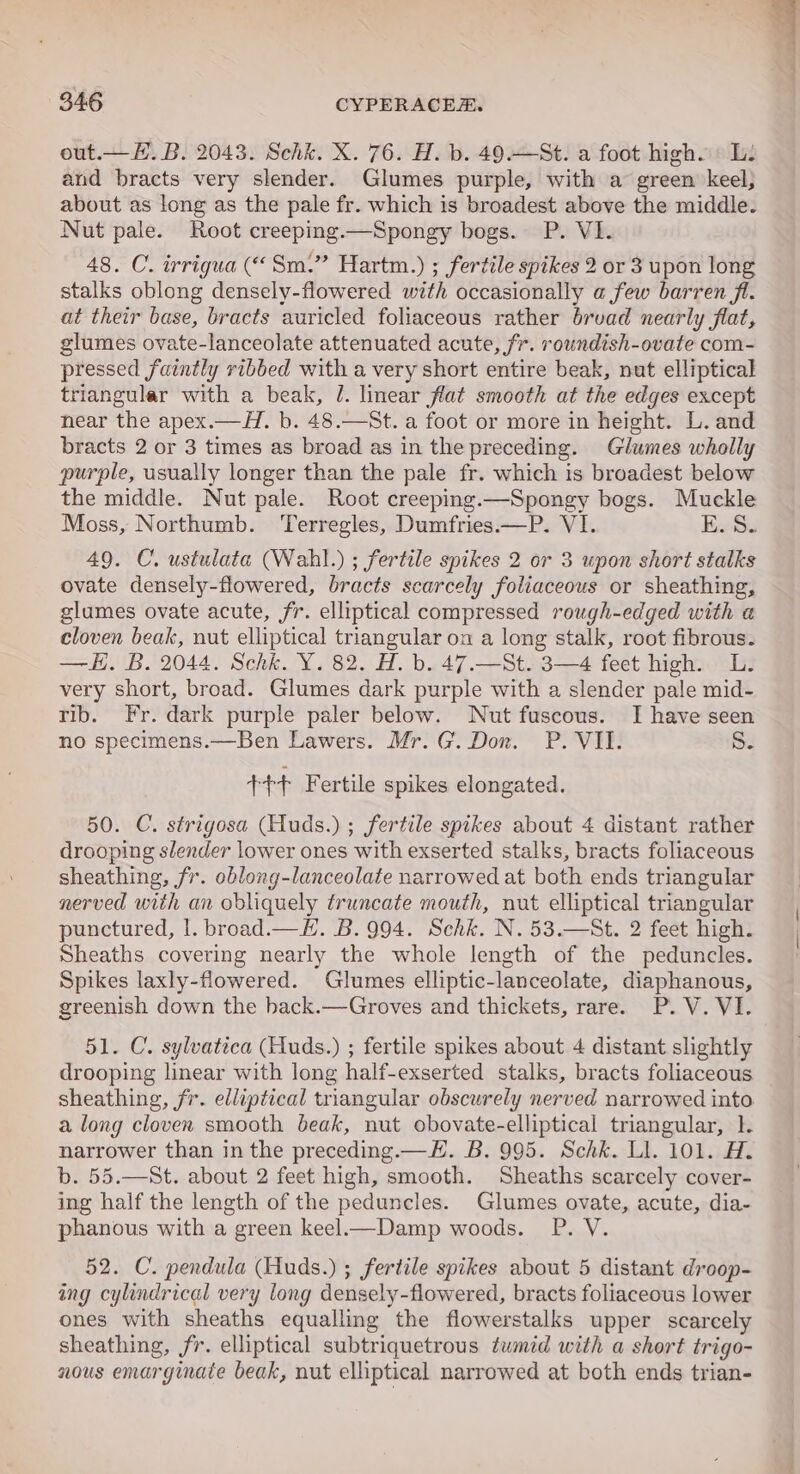 out.— HL. B. 2043. Schk. X. 76. H. b. 49.—St. a foot high. L: and bracts very slender. Glumes purple, with a green keel, about as long as the pale fr. which is broadest above the middle. Nut pale. Root creeping.—Spongy bogs. P. VI. 48. C. irrigua (“ Sm.” Hartm.) ; fertile spikes 2 or 3 upon long stalks oblong densely-flowered with occasionally a few barren fl. at their base, bracts auricled foliaceous rather brvad nearly flat, glumes ovate-lanceolate attenuated acute, fr. roundish-ovate com- pressed faintly ribbed with a very short entire beak, nut elliptical triangular with a beak, J. linear flat smooth at the edges except near the apex.—H. b. 48.—St. a foot or more in height. L. and bracts 2 or 3 times as broad as in the preceding. Glumes wholly purple, usually longer than the pale fr. which is broadest below the middle. Nut pale. Root creeping.—Spongy bogs. Muckle Moss, Northumb. ‘Terregles, Dumfries.—P. VI. KE. S. 49. C. ustulata (Wahl.) ; fertile spikes 2 or 3 upon short stalks ovate densely-flowered, bracts scarcely foliaceous or sheathing, glumes ovate acute, fr. elliptical compressed rough-edged with a cloven beak, nut elliptical triangular on a long stalk, root fibrous. —H. B. 2044. Schk. Y. 82. H. b. 47.—St. 3—4 feet high. L. very short, broad. Glumes dark purple with a slender pale mid- rib. Fr. dark purple paler below. Nut fuscous. I have seen no specimens.—Ben Lawers. Mr. G. Don. P. VII. S. +++ Fertile spikes elongated. 50. C. strigosa (Huds.) ; fertile spikes about 4 distant rather drooping slender lower ones with exserted stalks, bracts foliaceous sheathing, fr. oblong-lanceolate narrowed at both ends triangular nerved with an obliquely truncate mouth, nut elliptical triangular punctured, |. broad.— E. B. 994. Schk. N.53.—St. 2 feet high. Sheaths covering nearly the whole length of the peduncles. Spikes laxly-flowered. Glumes elliptic-lanceolate, diaphanous, greenish down the hack.—Groves and thickets, rare. P.V. VI. 51. C. sylvatica (Huds.) ; fertile spikes about 4 distant slightly drooping linear with long half-exserted stalks, bracts foliaceous sheathing, fr. elliptical triangular obscurely nerved narrowed into a long clover smooth beak, nut obovate-elliptical triangular, 1. narrower than in the preceding.—H. B. 995. Schk. Ll. 101. A. b. 55.—St. about 2 feet high, smooth. Sheaths scarcely cover- ing half the length of the peduncles. Glumes ovate, acute, dia- phanous with a green keel Damp woods. P. V. 52. C. pendula (Huds.) ; fertile spikes about 5 distant droop- ing cylindrical very long densely-flowered, bracts foliaceous lower ones with sheaths equalling the flowerstalks upper scarcely sheathing, jr. elliptical subtriquetrous tumid with a short trigo- nous emarginate beak, nut elliptical narrowed at both ends trian-