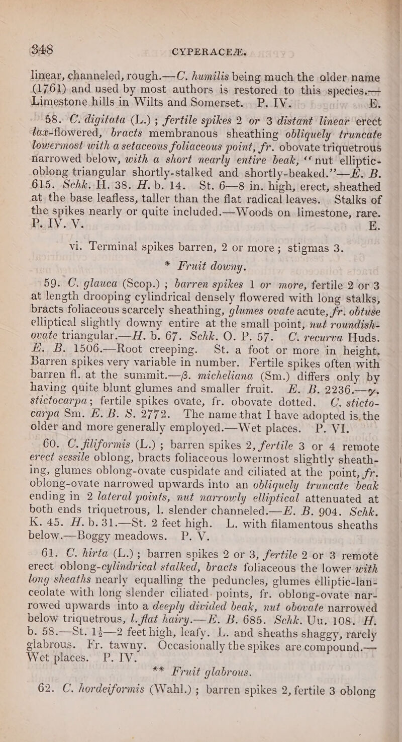 linear, channeled, rough.—C. humilis being much the older name (1761).and used by most authors is restored to this species.— Limestone hills in Wilts and Somerset... P. IV. | 58. C. digitata (L.) ; fertile spikes 2 or 3 distant linear ‘erect lax-flowered, bracts membranous sheathing obliquely truncate lowermost with a setaceous foliaceous point, fr. obovate triquetrous narrowed below, with a short nearly entire beak, &lt;‘ nut’ elliptic- oblong triangular shortly-stalked and shortly-beaked.”—E. B. 615. Schk. H. 38. H.b. 14. St. 6—8 in. high, erect, sheathed at the base leafless, taller than the flat radical leaves. Stalks of the spikes nearly or quite included.—Woods on limestone, rare. P.IV..V. ii. vi. Terminal spikes barren, 2 or more; stigmas 3. * Fruit downy. 59. C. glauca (Scop.) ; barren spikes 1 or more, fertile 2 or 3 at length drooping cylindrical densely flowered with long stalks, bracts foliaceous scarcely sheathing, glumes ovate acute, fr. obtuse elliptical slightly downy entire at the small point, nu¢ roundish= ovate triangular.—H. b. 67. Schk. O. P. 57. C. recurva Huds. fi, B. 1506.—Root creeping. St. a foot or more in height. Barren spikes very variable in number. Fertile spikes often with barren fl. at the summit.—. micheliana (Sm.) differs only by having quite blunt glumes and smaller fruit. H. B. 2236.—+», stictocarpa; fertile spikes ovate, fr. obovate dotted. C. sticto- carpa Sm. H. B. S. 2772. The name that I have adopted is.the older and more generally employed.—Wet places. P. VI. 60. C. filiformis (L.) ; barren spikes 2, fertile 3 or 4 remote erect sessile oblong, bracts foliaceous lowermost slightly sheath- ing, glumes oblong-ovate cuspidate and ciliated at the point, fr. oblong-ovate narrowed upwards into an obliquely truncate beak ending in 2 lateral points, nut narrowly elliptical attenuated at both ends triquetrous, 1. slender channeled.—E. B. 904. Schk. K. 45. H.b.31.—St. 2 feet high. L. with filamentous sheaths below.—Boggy meadows. P. V. 61. C. hirta (L.); barren spikes 2 or 3, fertile 2 or 3 remote erect oblong-cylindrical stalked, bracts foliaceous the lower with long sheaths nearly equalling the peduncles, glumes elliptic-lan= ceolate with long slender ciliated. points, fr. oblong-ovate nar- rowed upwards into a deeply divided beak, nut obovate narrowed below triquetrous, l. flat hairy.—E. B. 685. Schk. Uu. 108. H. b, 58.—St. 1)—2 feet high, leafy. L. and sheaths shaggy, rarely glabrous. Fr. tawny. Occasionally the spikes are compound.— Wet places. P. IV. ** Fruit glabrous. 62. C. hordeiformis (Wahl.) ; barren spikes 2, fertile 3 oblong