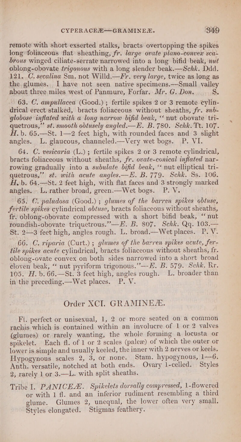 remote with short exserted stalks, bracts overtopping the spikes long foliaceous flat sheathing, fr. large ovate plano-convewx sca~ brous winged ciliate-serrate narrowed into a long bifid beak, nut oblong-obovate trigonous with a long slender beak.—Schk. Ddd. 121. C. secalina Sm. not Willd.—¥Fr. very large, twice as long as the glumes. I have not seen native specimens.—Small valley about three miles west of Panmure, Forfar. Mr. G. Don. S. ~ 63. C. ampullacea (Good.) ; fertile spikes 2 or 3 remote cylin- drical erect stalked, bracts foliaceous without sheaths, fr. sub- globose inflated with a long narrow bifid beak, ‘‘ nut obovate tri- quetrous,”’ st. smooth odtusely angled.—E. B.780. Schk. Tt. 107. — H.b. 65.—St. 1—2 feet high, with rounded faces and 3 slight angles. L. glaucous, channeled.—Very wet bogs. P. VI. 64. C. vesicaria (L.) ; fertile spikes 2 or 3 remote cylindrical, bracts foliaceous without sheaths, fr. ovate-cenical inflated nar- rowing gradually into a subulate bifid beak, *‘ nut elliptical tri- quetrous,”’ st. with acute angles—E. B.779. Schk. Ss. 106. Ab. 64.—St. 2 feet high, with flat faces and 3 strongly marked angles. L.rather broad, green.— Wet bogs. P. V. 65. C. paludosa (Good.) ; glumes of the barren spikes obtuse, fertile spikes cylindrical obtuse, bracts foliaceous without sheaths, fr. oblong-obovate compressed with a short bifid beak, “ nut roundish-obovate triquetrous.”—FH. B. 807. Schk. Qq. 103.— St. 2—3 feet high, angles rough. L. broad.—Wet places. P. V. 66. C. riparia (Curt.) ; glumes of the barren spikes acute, fer- tile spikes acute cylindrical, bracts foliaceous without sheaths, fr. oblong-ovate convex on both sides narrowed into a short broad cloven beak, ‘‘ nut pyriform trigonous.”—-E. B. 579. Schk. Rr. 105. H. b. 66.—St. 3 feet high, angles rough. L. broader than in the preceding.—Wet places. P. V. Order XCI. GRAMINEZ. Fi. perfect or unisexual, 1, 2 or more seated on a common rachis which is contained within an involucre of 1 or 2 valves (glumes) or rarely wanting, the whole forming a locusta or spikelet. Each fl. of 1 or 2 scales (palez) of which the outer or lower is simple and usually keeled, the inner with 2 nerves or keels. Hypogynous scales 2, 3, or none. Stam. hypogynous, 1—6, Anth. versatile, notched at both ends. Ovary l-celled. Styles 2, rarely 1 or 3.—L. with split sheaths. Tribe I. PANICEL. Spikelets dorsally compressed, 1-flowered or with 1 fl. and an inferior rudiment resembling a third glume. Glumes 2, unequal, the lower often very small. Styles elongated. Stigmas feathery.