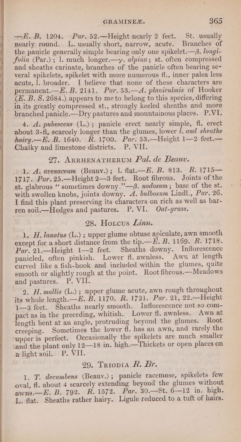 —H. B. 1204. Par, 52.—Height nearly 2 feet. St. usually nearly. round... L. usually short, narrow, acute. Branches of the panicle generally simple bearing only one spikelet.-—§. longi- folia (Par.); 1. much longer.—y. alpina; st. often compressed and sheaths carinate, branches of the panicle often bearing se- veral spikelets, spikelet with more numerous fl., inner palea less acute, 1. broader. I believe that none of these characters are permanent.—E. B. 2141. Par. 53.—A. planiculmis of Hooker (E. B. S, 2684.) appears to me to belong to this species, differing in its greatly compressed st., strongly keeled sheaths and more branched panicle.—Dry pastures and mountainous places. P.VI. 4. A. pubescens (L.); panicle erect nearly simple, fl. erect about 3-fl, scarcely longer than the glumes, lower /. and sheaths | hairy.—E. B. 1640. R.1700. Par. 53.—Height 1—2 feet.— Chalky and limestone districts. P. VII. 97. ARRHENATHERUM Fal. de Beauv. = 1. A. avenaceum (Beauv.); 1. flat.—H. B. 813. R. 1715— 1717. Par. 25.—Height 2—3 feet. Root fibrous. Joints of the st. glabrous “sometimes downy.”—f. nodosum ; base of the st. with swollen knobs, joints downy. 4. bulbosum Lindl., Par. 26. I find this plant preserving its characters on rich as well as bar- ren soil.—Hedges and pastures. P. VI. Oat-grass. _ 28. Hoxcus Linn. 1. H. lanatus (L.) ; upper glume obtuse apiculate, awn smooth except for a short distance from the tip—H. B. 1169. R. 1718. ‘Par. 21.—Height 1—2 feet. Sheaths downy. Inflorescence panicled, often pinkish. Lower fl. awnless. Awn at length curved like a fish-hook and included within the glumes, quite smooth or slightly rough at the point. Root fibrous.—Meadows and pastures. P. VII. 2. H. mollis (L.) ; upper glume acute, awn rough throughout its whole length.—H. B. 1170. &amp;. 1721. Par. 21, 22.—Height 1—3 feet. Sheaths nearly smooth. Inflorescence not so com- pact as in the preceding, whitish. Lower fl. awnless. Awn at ‘length bent at an angle, protruding beyond the glumes. Root creeping. Sometimes the lower fl. has an awn, and rarely the ‘upper is perfect. Occasionally the spikelets are much smaller ‘and the plant only 12—18 in. high.—Thickets or open places on alight soil. P. VII. 99. Triopia R&amp;R. Br. 1. T. decumbens (Beauv.); panicle racemose, spikelets few oval, fl. about 4 scarcely extending beyond the glumes without ‘awns.-E. B. 792. R. 1572. Par. 30.—St..6—12 in. high. L. flat. Sheaths rather hairy. Ligule reduced to a tuft of hairs.