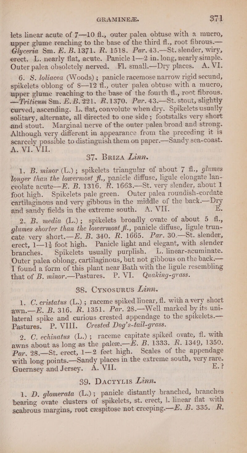 lets linear acute of 7—10 fl., outer palea obtuse with a mucro, upper glume reaching to the base of the third fl., root fibrous.— Glyceria Sm. E. B. 1371. R. 1518. Par.43.—St. slender, wiry, erect. L. nearly flat, acute. Panicle 1—2 in. long, nearly simple. Outer palea obsoletely nerved. Fl. small.—Dry places. A. VI. 6. S. loliacea (Woods) ; panicle racemose narrow rigid secund, _ spikelets oblong of 8—12 fl., outer palea obtuse with a mucro, upper glume reaching to the base of the fourth fl., root fibrous. — Triticum Sm. E.B.221. R.1370. Par. 43.—St. stout, slightly curved, ascending. L. flat, convolute when dry. Spikelets usually solitary, alternate, all directed to one side; footstalks very short and stout. Marginal nerve of the outer palea broad and strong. Although very different in appearance from the preceding it is scarcely possible to distinguish them on paper.—Sandy sea-coast. A. VI. VIL. 37. Briza Linn. 1. B. minor (L.); spikelets triangular of about 7 f1., glumes longer than the lowermost fl., panicle diffuse, ligule elongate lan- ceolate acute—E. B. 1316. R. 1663.—St. very slender, about 1 foot high. Spikelets pale green. Outer palea roundish-cordate cartilaginous and very gibbous in the middle of the back.—Dry and sandy fields in the extreme south. A. VII. E. 2. B. media (L.); spikelets broadly ovate of about 5 fi. glumes shorter than the lowermost jl., panicle diffuse, ligule trun- cate very short.—H. B. 340. R. 1665. Par. 30.—St. slender, erect, 1—14 foot high. Panicle light and elegant, with slender branches. Spikelets usually purplish. L. linear-acuminate. Outer palea oblong, cartilaginous, but not gibbous on the back.— I found a form of this plant near Bath with the ligule resembling that of B. minor.—Pastures. P. VI. Quaking-grass. 38. Cynosurus Linn. 1. C. cristatus (L.) ; raceme spiked linear, fl. with avery short awn.—ZE. B. 316. R. 1351. Par. 28.—Well marked by its uni- lateral spike and curious crested appendage to the spikelets.— Pastures. P. VIII. Crested Dog’s-tail-grass. 9. C. echinatus (L.); raceme capitate spiked ovate, fl. with awns about as long as the palee.—H. B. 1333. R. 1349, 1350. Par. 28.—St. erect, 1—2 feet high. Scales of the appendage with long points.—Sandy places in the extreme south, very rare. Guernsey and Jersey. A. VII. Bear 39. Dacty.is Linn. 1. D. glomerata (L.) ; panicle distantly branched, branches “bearing ovate clusters of spikelets, st. erect, l. linear flat with scabrous margins, root cespitose not creeping. —E. B. 335. R.