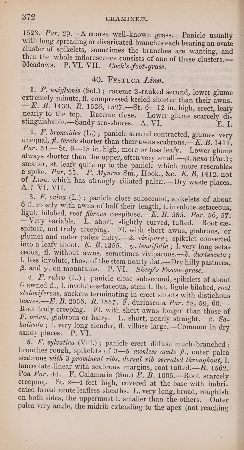 1523. Par, 29.—A coarse well-known grass. Panicle usually with long spreading or divaricated branches each bearing an ovate cluster of spikelets, sometimes the branches are wanting, and then the whole inflorescence consists of one of these clusters.— Meadows. P.VI. VII. Cock’s-foot-grass. 40. Festuca Linn. 1. F. uniglumis (Sol.) ; raceme 2-ranked secund, lower glume extremely minute, fl. compressed keeled shorter than their awns. =. B. 1430. RH1526, 1527 -—St. 6-212 in, high, erect, leafy nearly to the top. Raceme close. Lower glume scarcely di- stinguishable.-—Sandy sea-shores. A. VI. Ori 53 2. £. bromoides (L.) ; panicle secund contracted, glumes very unequal, fl. terete shorter than their awns scabrous.—F. B. 1411. Par. 54.—St. 6—18 in. high, more or less leafy. Lower glume always shorter than the upper, often very small:—@. nana (Par.) ; smaller, st. leafy quite up to the panicle which more resembles a spike. Par. 55. F. Myurus Sm., Hook., &amp;c. E. B. 1412. not of Linn. which has strongly ciliated paleze.—Dry waste places. Pee Nl eV As 3. FF. ovina (L.) ; panicle close subsecund, spikelets of about _ 6 fl. mostly with awns of half their length, 1. involute-setaceous, ligule bilobed, root fibrous cespitose.—E. B. 585. Par. 56, 57. —Very variable. L. short, slightly curved, tufted. Root cxe- spitose, not truly creeping. Fl. with short awns, glabrous, or glumes and outer palee hairy.—f. vivipara; spikelet converted into a leafy shoot. H. B.1355.—y. tenuifolia ; 1. very long seta- ceous, fl. without awns, sometimes viviparous.—0. duriuscula ; I. less involute, those of the stem nearly flat.—Dry hilly pastures. 8. and y. on mountains. P. VI. Sheep’s Fescue-grass. 4. F. rubra (L.) ; panicle close subsecund, spikelets of about 6 awned fl., 1. involute-setaceous, stem 1. flat, ligule bilobed, root stoloniferous, suckers terminating in erect shoots with distichous leaves.— EL. B. 2056. R.1557. F. duriuscula Par. 58, 59, 60.— Root truly creeping. Fl. with short awns longer than those of F. ovina, glabrous or hairy. L. short, nearly straight. 6. Sa- bulicola ; 1. very long slender, fl. villose large.—Common in dry sandy places. P. VI. 5. LI. sylvatica (Vill.) ; panicle erect diffuse much-branched : branches rough, spikelets of 3—5 awnless acute ji., outer palea scabrous with 3 prominent ribs, dorsal rib serrated throughout, 1. lanceolate-linear with scabrous margins, root tufted.—R. 1562. Poa Par. 44. F. Calamaria (Sm.) E. B. 1005.—Root scarcely creeping. St. 2—4 feet high, covered at the base with imbri- cated broad acute leafless sheaths. L. very long, broad, roughish on both sides, the uppermost |. smaller than the others. Outer palea very acute, the midrib extending to the apex (not reaching