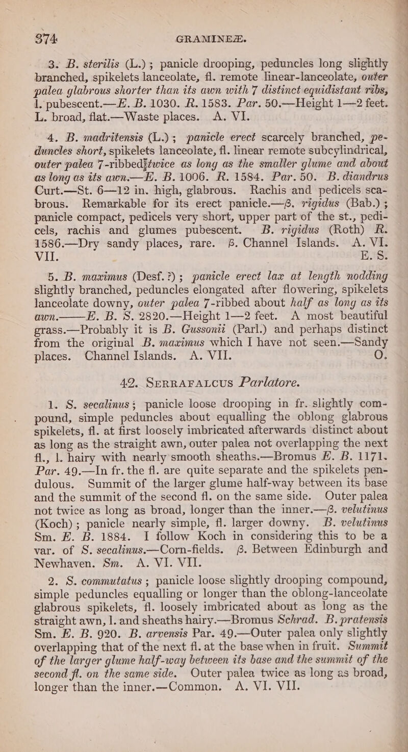 374: GRAMINE. 3. B. sterilis (L.) ; panicle drooping, peduncles long slightly branched, spikelets lanceolate, fi. remote linear-lanceolate, outer palea glabrous shorter than its awn with 7 distinct equidistant ribs, 1, pubescent.—£. B. 1030. R. 1583. Par. 50.—Height 1—2 feet. L. broad, flat.—Waste places. A. VI. 4. B. madritensis (L.); panicle erect scarcely branched, pe- _duncles short, spikelets lanceolate, fl. lmear remote subcylindrical, outer palea 7-ribbeditwice as long as the smaller glume and about as long as its awn.— EE. B. 1006. R. 1584. Par. 50. B. diandrus Curt.—St. 6—12 in. high, glabrous. Rachis and pedicels sca- brous. Remarkable for its erect panicle.—§, rigidus (Bab.) ; panicle compact, pedicels very short, upper part of the st., pedi- cels, rachis and glumes pubescent. B. rigidus (Roth) R. 1586.—Dry sandy places, rare. &amp;. Channel Islands. &lt;A. VI. Vil. E. 8. 5. B. maximus (Desf.?); panicle erect lax at length nodding slightly branched, peduncles elongated after flowering, spikelets lanceolate downy, outer palea 7-ribbed about half as long as its awn. E. B. 8. 2820.—Height 1—2 feet. A most beautiful grass.—Probably it is B. Gussoniit (Parl.) and perhaps distinct from the original B. maximus which I have not seen.—Sandy places. Channel Islands. A. VII. O. 492, SERRAFALCUS Parlatore. 1. S. secalinus: panicle loose drooping in fr. slightly com- pound, simple peduncles about equalling the oblong glabrous spikelets, fl. at first loosely imbricated afterwards distinct about as long as the straight awn, outer palea not overlapping the next fl., |. hairy with nearly smooth sheaths.—Bromus £. B. 1171. Par. 49.—In fr. the fl. are quite separate and the spikelets pen- dulous. Summit of the larger glume half-way between its base and the summit of the second fl. on the same side. Outer palea not twice as long as broad, longer than the inner.—f. velutinus (Koch) ; panicle nearly simple, fl. larger downy. 2B. velutinus Sm. H. B. 1884. I follow Koch in considering this to be a var. of S. secalinus.x—Corn-fields. §. Between Edinburgh and Newhaven. Sm. A. VI. VII. 2. S. commutatus ; panicle loose slightly drooping compound, simple peduncles equalling or longer than the oblong-lanceolate glabrous spikelets, fl. loosely imbricated about as long as the straight awn, |. and sheaths hairy —Bromus Schrad. B. pratensis Sm. FE. B. 920. B. arvensis Par. 49.—Outer palea only slightly overlapping that of the next fl. at the base when in fruit. Summit of the larger glume half-way between its base and the summit of the second fl. on the same side. Outer palea twice as long as broad, longer than the inner.—Common. A. VI. VII.