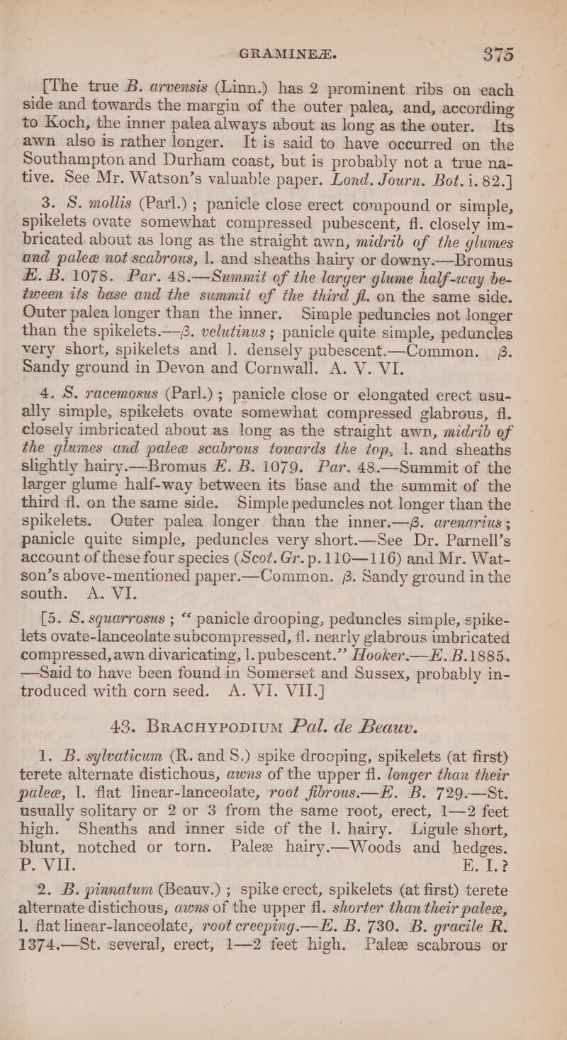[The true B. arvensis (Linn.) has 2 prominent ribs on each side and towards the margin of the outer palea, and, according to Koch, the inner palea always about as long as the outer. Its awn also is rather longer. It is said to have occurred on the Southampton and Durham coast, but is probably not a true na- tive. See Mr. Watson’s valuable paper. Lond. Journ. Bot. i. 82.] 3. S. mollis (Parl.) ; panicle close erect compound or simple, spikelets ovate somewhat compressed pubescent, fl. closely im- bricated about as long as the straight awn, midrib of the glumes and palee not scabrous, 1. and sheaths hairy or downy.—Bromus H. B. 1078. Par. 48.—Summit of the larger glume half-way be- tween its base and the summit of the third fl. on the same side. Outer palea longer than the inner. Simple peduncles not longer than the spikelets.—8. velutinus ; panicle quite simple, peduncles very short, spikelets and J. densely pubescent.—Common. 4. Sandy ground in Devon and Cornwall. A. V. VI. 4. S. racemosus (Parl.); panicle close or elongated erect usu- ally simple, spikelets ovate somewhat compressed glabrous, fi. closely imbricated about as long as the straight awn, midrib of the glumes and palee scabrous towards the top, 1. and sheaths slightly hairy.—Bromus £. B. 1079. Par. 48.—Summit of the larger glume half-way between its base and the summit of the third fl. on the same side. Simple peduncles not longer than the spikelets. Outer palea longer than the inner.—. arenarius; panicle quite simple, peduncles very short.—See Dr. Parnell’s account of these four species (Scot. Gr. p.110—116) and Mr. Wat- son’s above-mentioned paper.—Common. @. Sandy ground in the south. A. VI. [5. S. squarrosus ; “ panicle drooping, peduncles simple, spike- lets ovate-lanceolate subcompressed, fl. nearly glabrous imbricated compressed, awn divaricating, |. pubescent.”’ Hooker.—E. B.1885. —Said to have been found in Somerset and Sussex, probably in- troduced with corn seed. A. VI. VII.] 42, Bracuypopium Pal. de Beauv. 1. B. sylvaticum (R. and 8.) spike drooping, spikelets (at first) terete alternate distichous, awns of the upper fl. longer than their palee, |, flat linear-lanceolate, root fibrous.—E. B. 729.—St. usually solitary or 2 or 3 from the same root, erect, 1—2 feet high. Sheaths and inner side of the |. hairy. Ligule short, blunt, notched or torn. Pale hairy.—Woods and hedges. PVA, BE. Doe 2. B. pinnatum (Beauv.) ; spike erect, spikelets (at first) terete alternate distichous, awns of the upper fl. shorter than their palee, 1. flat linear-lanceolate, root creeping.—E. B. 730. B. gracile R. 1374.—St. several, erect, 1—2 feet high. Palez scabrous or