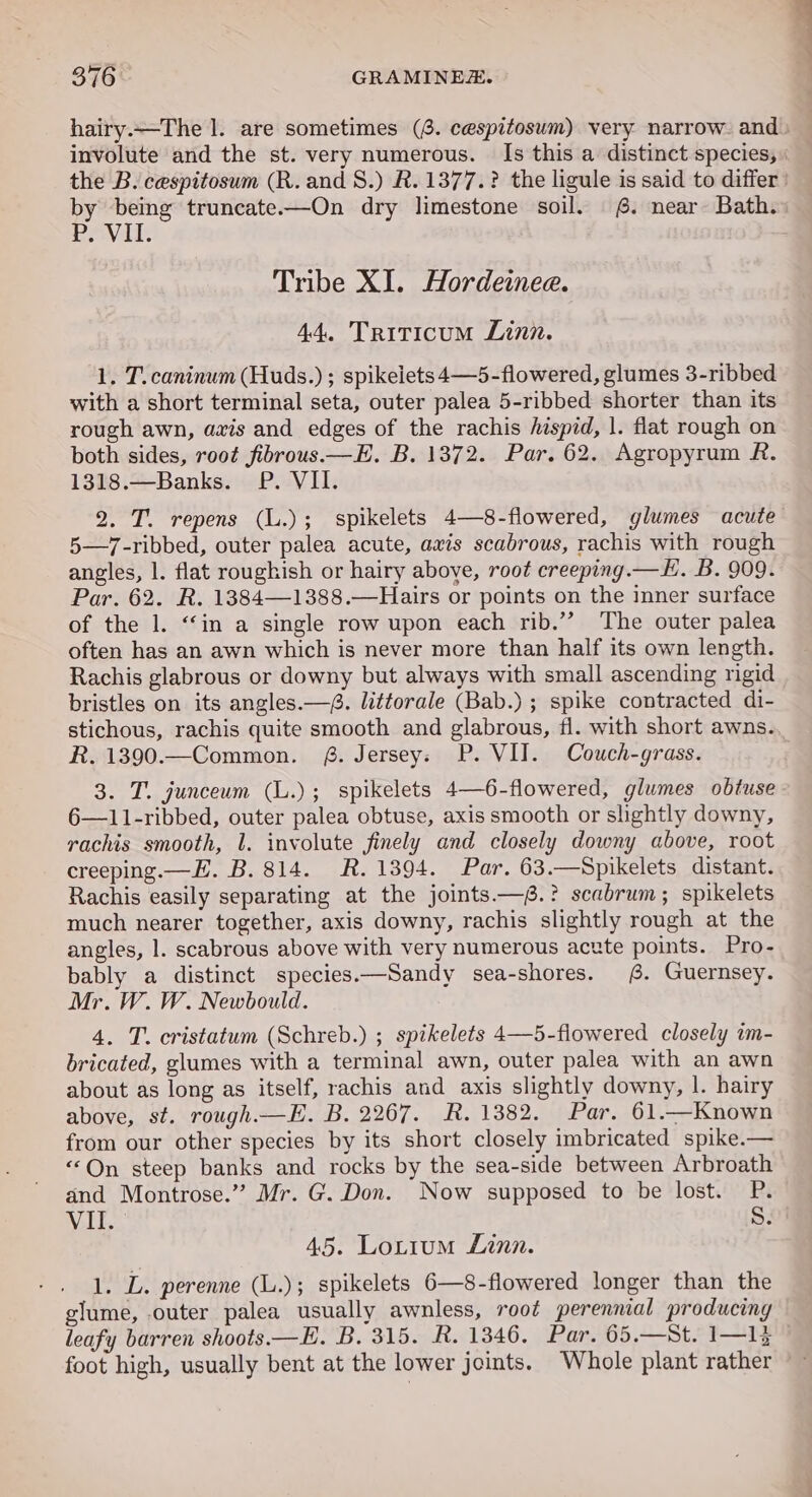 hairy.—The |. are sometimes (6. cespitosum) very narrow. and» involute and the st. very numerous. Is this a distinct species, the B. cespitosum (R. and 8S.) R.1377.? the ligule is said to differ | by being truncate—On dry limestone soil. 4. near Bath. aeeviles : Tribe XI. Hordeinee. 44. Triticum Linn. 1. T. caninum (Huds.) ; spikelets 4—5-flowered, glumes 3-ribbed with a short terminal seta, outer palea 5-ribbed shorter than its rough awn, axis and edges of the rachis Aispid, |. flat rough on both sides, root fibrous.—E. B. 1372. Par. 62. Agropyrum R. 1318.—Banks. P. VII. 2. T. repens (L.); spikelets 4—-8-flowered, glumes acute 5—7-ribbed, outer palea acute, axis scabrous, rachis with rough angles, 1. flat roughish or hairy above, root creeping.— LK. B. 909. Par. 62. R. 1384—1388.—Hairs or points on the inner surface of the 1. “in a single row upon each rib.’’ The outer palea often has an awn which is never more than half its own length. Rachis glabrous or downy but always with small ascending rigid bristles on its angles.—. littorale (Bab.) ; spike contracted di- stichous, rachis quite smooth and glabrous, fl. with short awns. R. 1390.—Common. &amp;. Jersey; P. VII. Couwch-grass. 3. T. junceum (L.); spikelets 4—6-flowered, glumes obtuse 6—11-ribbed, outer palea obtuse, axis smooth or slightly downy, rachis smooth, l. involute finely and closely downy above, root creeping.— FE. B. 814. R. 1394. Par. 63.—Spikelets distant. Rachis easily separating at the joints—.? scabrum; spikelets much nearer together, axis downy, rachis slightly rough at the angles, 1. scabrous above with very numerous acute points. Pro- bably a distinct species.—Sandy sea-shores. 6. Guernsey. Mr. W. W. Newbould. 4. T. cristatum (Schreb.) ; spikelets 4—5-flowered closely im- bricated, glumes with a terminal awn, outer palea with an awn about as long as itself, rachis and axis slightly downy, |. hairy above, st. rough.—E. B. 2267. R. 1382. Par. 61.-Known from our other species by its short closely imbricated spike.— “On steep banks and rocks by the sea-side between Arbroath and Montrose.” Mr. G. Don. Now supposed to be lost. P. VII. S. 45. Lotium Linn. 1. L. perenne (L.); spikelets 6—8-flowered longer than the glume, outer palea usually awnless, root perennial producing leafy barren shoots.—E. B. 315. R. 1346. Par. 65.—St. I—13 foot high, usually bent at the lower joints. Whole plant rather