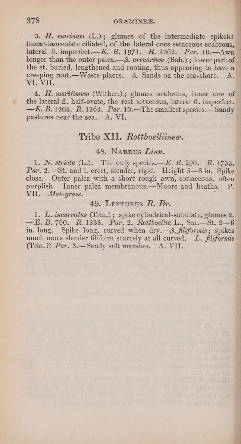 3. H. murinum (L.); glumes of the intermediate spikelet linear-lanceolate ciliated, of the lateral ones setaceous scabrous, — lateral fi. imperfect—H. B. 1971. R. 1362. Par. 10.—Awn — longer than the outer palea.—f. arenarium (Bab.) ; lower part of — the st. buried, lengthened and rooting, thus appearing to have a creeping root.—Waste places. . Sands on the sea-shore. A. View Li. 4. H. maritimum (Wither.); glumes scabrous, inner one of the lateral fl. half-ovate, the rest setaceous, lateral fl. imperfect. —. B.1205. R.1364. Par. 10.—The smallest species.—Sandy pastures near the sea. A. VI. Tribe XII. Rottboelliinee. 48. Narpus Linn. 1. NN. stricta (L.). The only species. —H. B.290. R. 1733. Par. 2.—St. and 1. erect, slender, rigid. Height 5—8 in. Spike close. Outer palea with a short rough awn, coriaceous, often purplish. Inner palea membranous.—Moors and heaths. P. VII. Mat-grass. ‘ 49. Lerrurus &amp;. Br. 1. L. incurvatus (Trin.) ; spike cylindrical-subulate, glumes 2. —EH.B. 760. R.1333. Par. 2. Rottboellia L., Sm.—St. 2—6 in. long. Spike long, curved when dry.—4. jiliformis; spikes much more slender filiform scarcely at all curved. L. filiformis (Trin. ?) Par. 3.—Sandy salt marshes. &lt;A. VII.