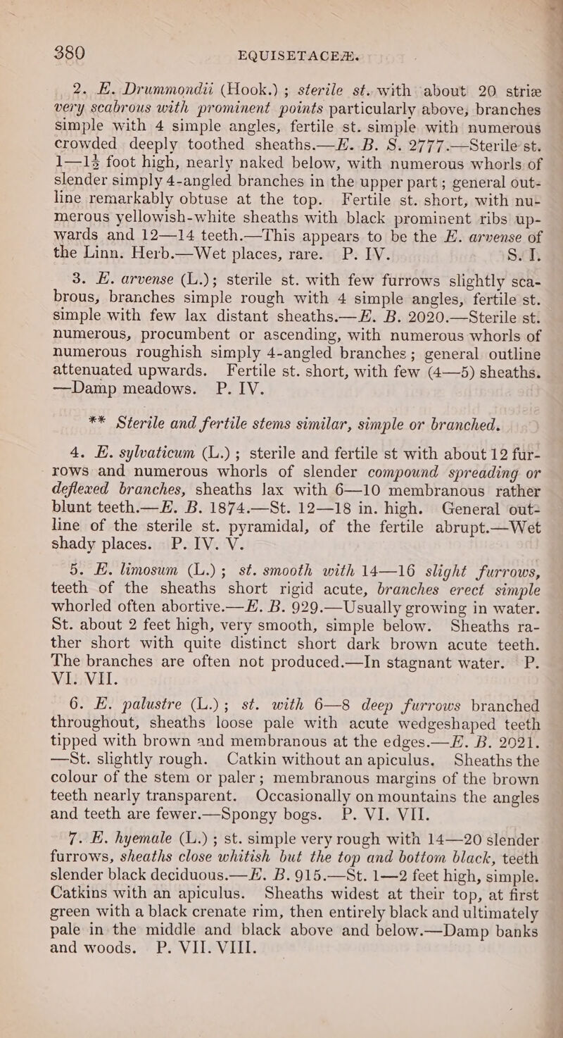 2. EH. Drummondi: (Hook.) ; sterile st. with about 20 striz very scabrous with prominent points particularly above, branches simple with 4 simple angles, fertile st. simple with numerous crowded deeply toothed sheaths.—EH. B. S. 2777.—Sterile st. 1—1% foot high, nearly naked below, with numerous whorls of slender simply 4-angled branches in the upper part; general out- line remarkably obtuse at the top. Fertile st. short, with nu- merous yellowish-white sheaths with black prominent ribs up- wards and 12—14 teeth.—This appears to be the HE. arvense of the Linn. Herb.—Wet places, rare. P. IV. S.T, 3. E. arvense (L.); sterile st. with few furrows slightly sca- brous, branches simple rough with 4 simple angles, fertile st. simple with few lax distant sheaths.—H. B. 2020.—Sterile st. numerous, procumbent or ascending, with numerous whorls of numerous roughish simply 4-angled branches; general outline attenuated upwards. Fertile st. short, with few (4—5) sheaths. —Damp meadows. P. IV. ** Sterile and fertile stems similar, simple or branched. 4. H. sylvaticum (L.) ; sterile and fertile st with about 12 fur- rows and numerous whorls of slender compound spreading or deflexed branches, sheaths Jax with 6—10 membranous rather blunt teeth.— E. B. 1874.—St. 12—18 in. high. General out= line of the sterile st. pyramidal, of the fertile abrupt.—Wet shady places. P.IV. V. 5. KE. limosum (L.) ; st. smooth with 14—16 slight furrows, teeth of the sheaths short rigid acute, branches erect simple whorled often abortive.—E. B. 929.—Usually growing in water. St. about 2 feet high, very smooth, simple below. Sheaths ra- ther short with quite distinct short dark brown acute teeth. The branches are often not produced.—In stagnant water. P. VI. VII. 6. KE. palustre (L.); st. with 6—8 deep furrows branched throughout, sheaths loose pale with acute wedgeshaped teeth tipped with brown and membranous at the edges.—F. B. 2021. —St. slightly rough. Catkin without an apiculus. Sheaths the colour of the stem or paler; membranous margins of the brown teeth nearly transparent. Occasionally on mountains the angles and teeth are fewer.—Spongy bogs. P. VI. VII. 7. E. hyemale (L.) ; st. simple very rough with 14—20 slender furrows, sheaths close whitish but the top and bottom black, teeth slender black deciduous.—F. B. 915.—St. 1—2 feet high, simple. Catkins with an apiculus. Sheaths widest at their top, at first green with a black crenate rim, then entirely black and ultimately pale in the middle and black above and below.—Damp banks and woods. P. VII. VIII.