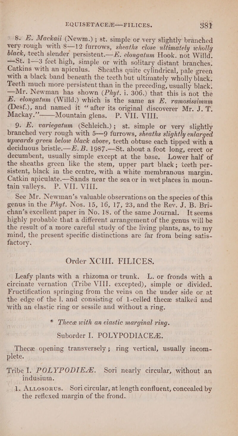 EQUISETACE#—FILICES. 38) 8. E. Mackaii (Newm.) ; st. simple or very slightly branched very rough with 8—12 furrows, sheaths close ultimately wholly black, teeth slender persistent.—E. elongatum Hook. not Willd. —St. 1—3 feet high, simple or with solitary distant branches. Catkins with an apiculus. Sheaths quite cylindrical, pale green with a black band beneath the teeth but ultimately wholly black. Teeth much more persistent than in the preceding, usually black. —Mr. Newman has shown (Phyt. i. 306.) that this is not the . elongatum (Willd.) which is the same as E. ramosissimum (Desf.), and named it “ after its original discoverer Mr. J. T. Mackay.” Mountain glens. P. VII. VIII. 9. E. variegatum (Schleich.); st. simple or very slightly branched very rough with 5—9 furrows, sheaths slightly enlarged upwards green below black above, teeth obtuse each tipped with a deciduous bristle.—K. B. 1987.—St. about a foot long, erect or decumbent, usually simple except at the base. Lower half of the sheaths green like the stem, upper part black; teeth per- sistent, black in the centre, with a white membranous margin. Catkin apiculate.—Sands near the sea or in wet places in moun- tain valleys. P. VII. VHI. See Mr. Newman’s valuable observations on the species of this genus in the Phyt. Nos. 15, 16, 17, 23, and the Rev. J. B. Bri- chan’s excellent paper in No. 18. of the same Journal. Itseems highly probable that a different arrangement of the genus will be the result of a more careful study of the living plants, as, to my mind, the present specific distinctions are far from being satis- factory. Order XCIII. FILICES. Leafy plants with a rhizoma or trunk. L. or fronds with a circinate vernation (Tribe VIII. excepted), simple or divided. Fructification springing from the veins on the under side or at the edge of the |. and consisting of 1-celled thece stalked and with an elastic ring or sessile and without a ring. * Thece with an eiastic marginal ring. Suborder I. POLYPODIACE. Thece opening transversely; ring vertical, usually incom- plete. Tribe Il. POLYPODIE. Sori nearly circular, without an indusium. 1. AtLosorus. Soricircular, at length confluent, concealed by the reflexed margin of the frond.