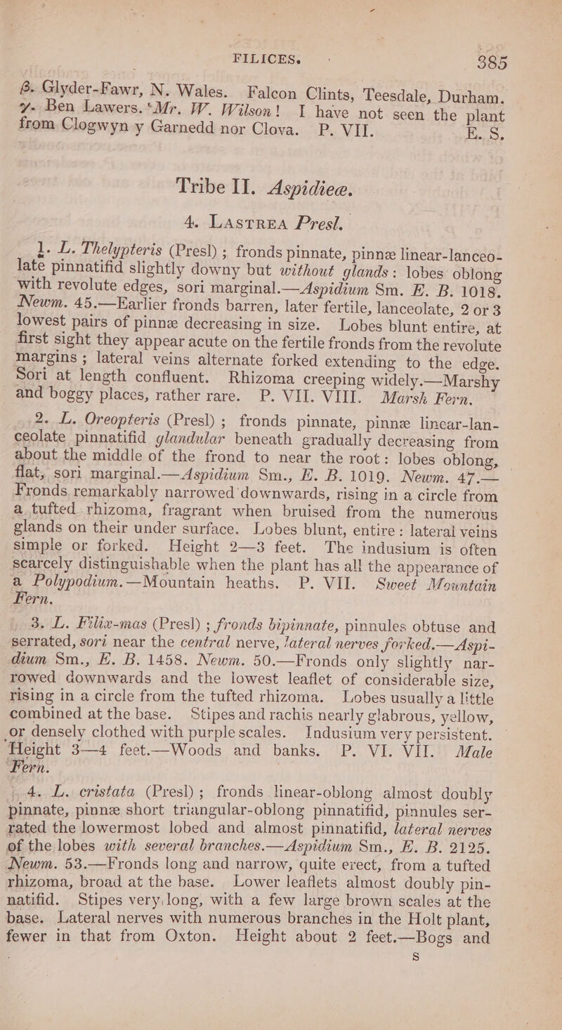 &amp;. Glyder-Fawr, N. Wales. Falcon Clints, Teesdale, Durham. y- Ben Lawers.*Mr. W. Wilson! 1 have not seen the plant from Clogwyn y Garnedd nor Clova. P, VIL. ES, Tribe II. Aspidiee. 4. LAstrREA Presi, 1. L. Thelypteris (Pres!) ; fronds pinnate, pinnee linear-lanceo- late pinnatifid slightly downy but without glands : lobes oblong with revolute edges, sori marginal.—Aspidium Sm. E. B. 1018. Newm. 45.—Earlier fronds barren, later fertile, lanceolate, 2 or 3 lowest pairs of pinne decreasing in size. Lobes blunt entire, at first sight they appear acute on the fertile fronds from the revolute margins ; lateral veins alternate forked extending to the edge. Sori at length confluent. Rhizoma creeping widely.—Marshy and boggy places, rather rare. P. VII. VIII. Marsh Fern. 2. L. Oreopteris (Presl) ; fronds pinnate, pinne linear-lan- ceolate pinnatifid glandular beneath gradually decreasing from about the middle of the frond to near the root: lobes oblong, — flat, sori marginal.—Aspidium Sm., E. B. 1019. Newm. 47.— Fronds remarkably narrowed downwards, rising in a circle from a_tufted rhizoma, fragrant when bruised from the numerous glands on their under surface. Lobes blunt, entire: laterai veins simple or forked. Height 2—3 feet. The indusium is often scarcely distinguishable when the plant has all the appearance of a Polypodium.—Mountain heaths. P. VII. Sweet Mountain Fern, 3. L. Filix-mas (Presl) ; fronds bipinnate, pinnules obtuse and serrated, sori near the central nerve, /ateral nerves jforked.— Aspi- dium Sm., E. B. 1458. Newm. 50.—Fronds only slightly nar- rowed downwards and the lowest leaflet of considerable size, rising in a circle from the tufted rhizoma. Lobes usually a little combined at the base. Stipes and rachis nearly glabrous, yellow, or densely clothed with purple scales. Indusium very persistent. — ‘Height 3—4 feet.—Woods and banks. P. VI. VII. Male Fern. 4. L. cristata (Presl) ; fronds linear-oblong almost doubly pinnate, pinne short triangular-oblong pinnatifid, pinnules ser- rated the lowermost lobed and almost pinnatifid, lateral nerves of the lobes with several branches.—Aspidium Sm., E. B. 2125. Newm. 53.—Fronds long and narrow, quite erect, from a tufted rhizoma, broad at the base. Lower leaflets almost doubly pin- natifid. Stipes very, long, with a few large brown scales at the base. Lateral nerves with numerous branches in the Holt plant, fewer in that from Oxton. Height about 2 feet.—Bogs and S