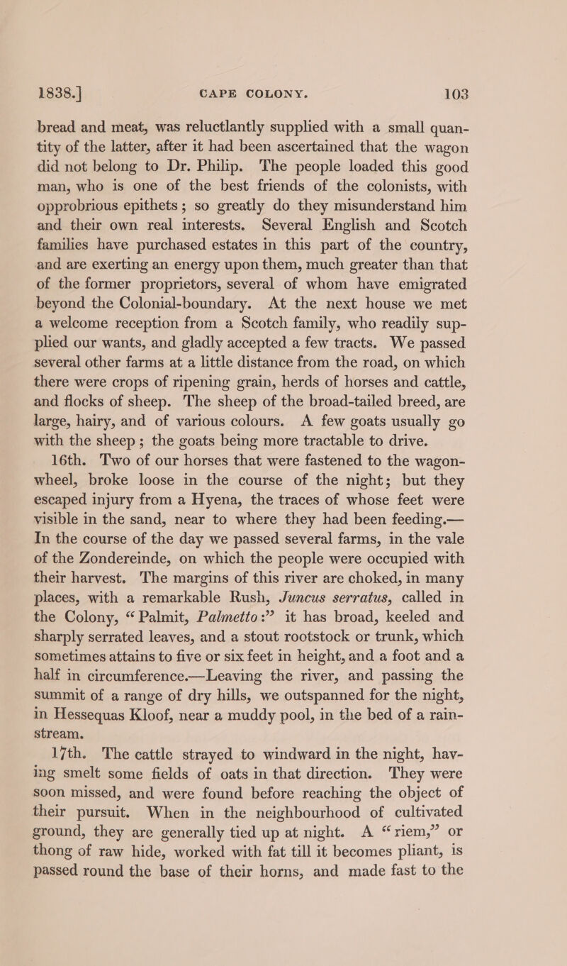 bread and meat, was reluctlantly supplied with a small quan- tity of the latter, after it had been ascertained that the wagon did not belong to Dr. Philip. The people loaded this good man, who is one of the best friends of the colonists, with opprobrious epithets ; so greatly do they misunderstand him and their own real interests. Several English and Scotch families have purchased estates in this part of the country, and are exerting an energy upon them, much greater than that of the former proprietors, several of whom have emigrated beyond the Colonial-boundary. At the next house we met a welcome reception from a Scotch family, who readily sup- plied our wants, and gladly accepted a few tracts. We passed several other farms at a little distance from the road, on which there were crops of ripening grain, herds of horses and cattle, and flocks of sheep. The sheep of the broad-tailed breed, are large, hairy, and of various colours. A few goats usually go with the sheep ; the goats being more tractable to drive. 16th. Two of our horses that were fastened to the wagon- wheel, broke loose in the course of the night; but they escaped injury from a Hyena, the traces of whose feet were visible in the sand, near to where they had been feeding.— In the course of the day we passed several farms, in the vale of the Zondereinde, on which the people were occupied with their harvest. The margins of this river are choked, in many places, with a remarkable Rush, Juncus serratus, called in the Colony, “ Palmit, Palmetto:” it has broad, keeled and sharply serrated leaves, and a stout rootstock or trunk, which sometimes attains to five or six feet in height, and a foot and a half in circumference.—Leaving the river, and passing the summit of a range of dry hills, we outspanned for the night, in Hessequas Kloof, near a muddy pool, in the bed of a rain- stream. 17th. The cattle strayed to windward in the night, hav- ing smelt some fields of oats in that direction. They were soon missed, and were found before reaching the object of their pursuit. When in the neighbourhood of cultivated ground, they are generally tied up at night. A “riem,” or thong of raw hide, worked with fat till it becomes pliant, is passed round the base of their horns, and made fast to the